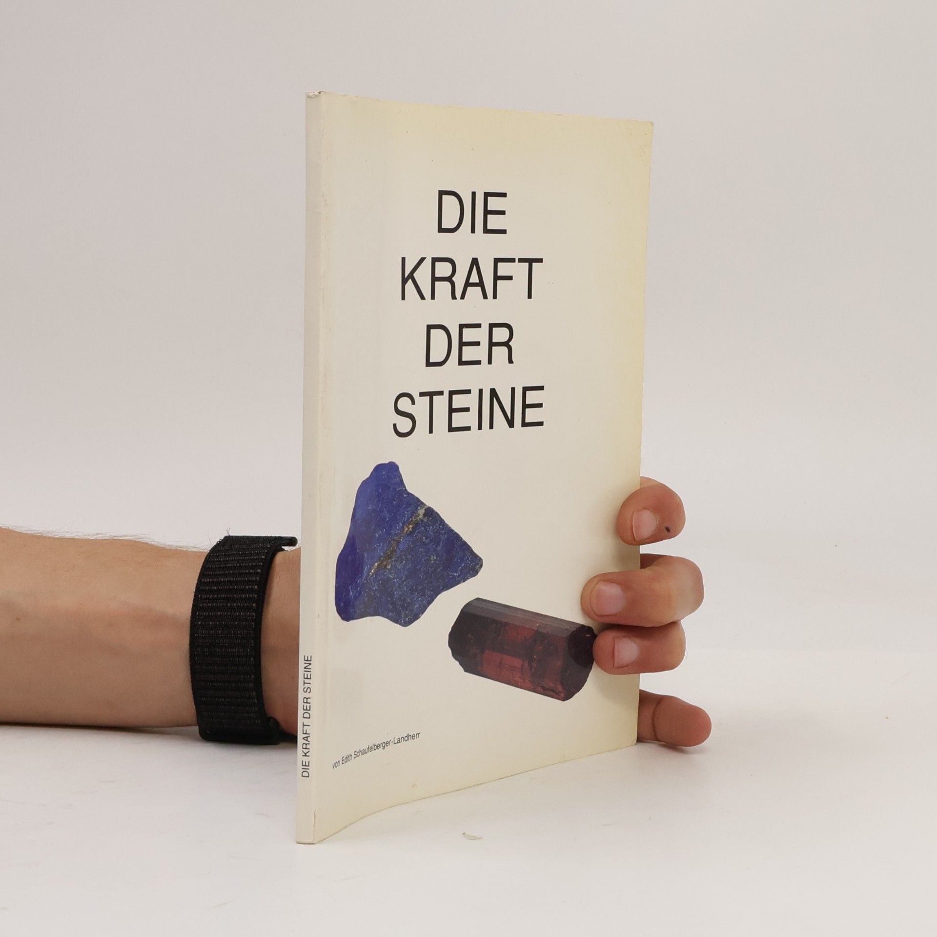 Edith Schaufelberger-Landherr Die Kraft der Steine