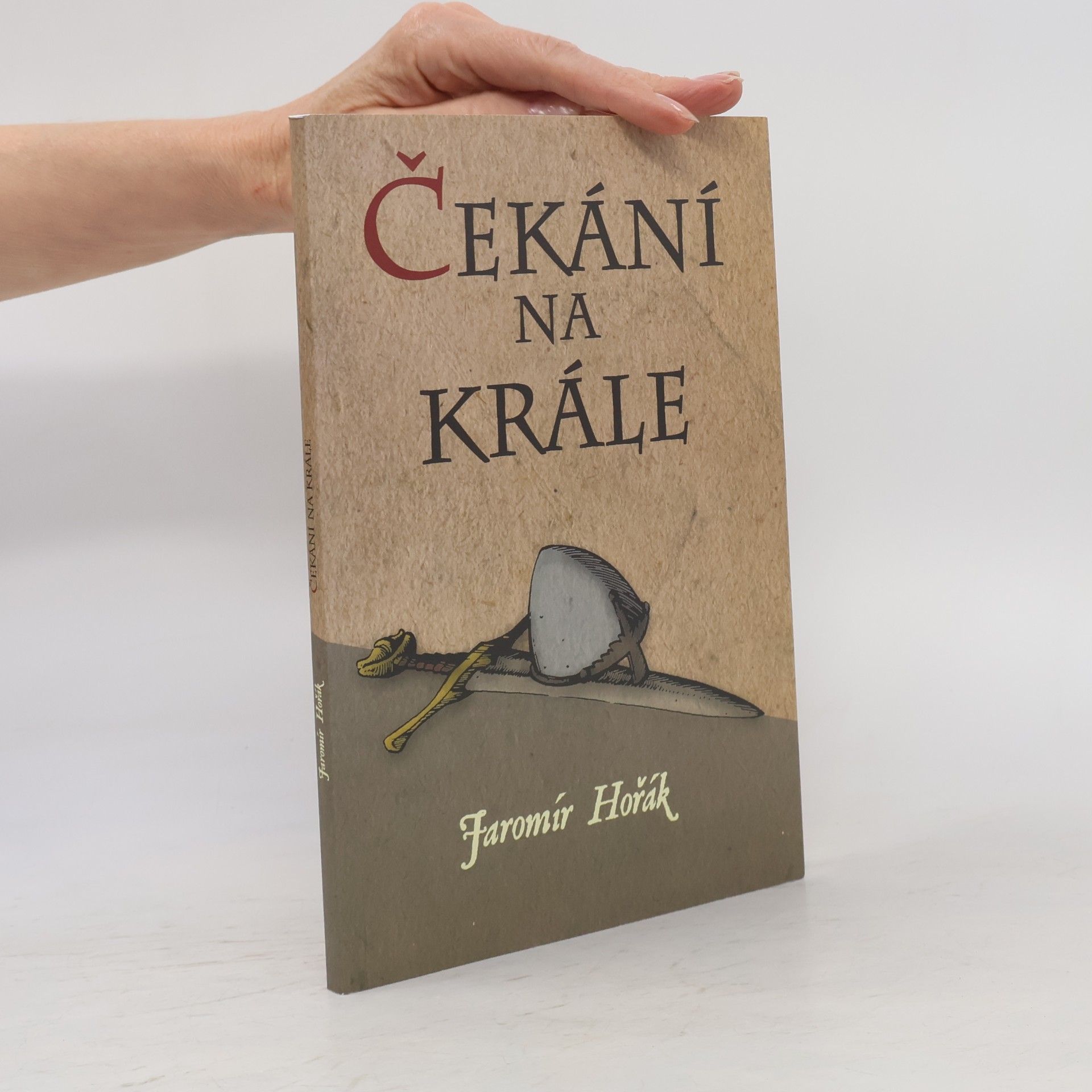 Jaromír Hořák (radiolog) Čekání na krále