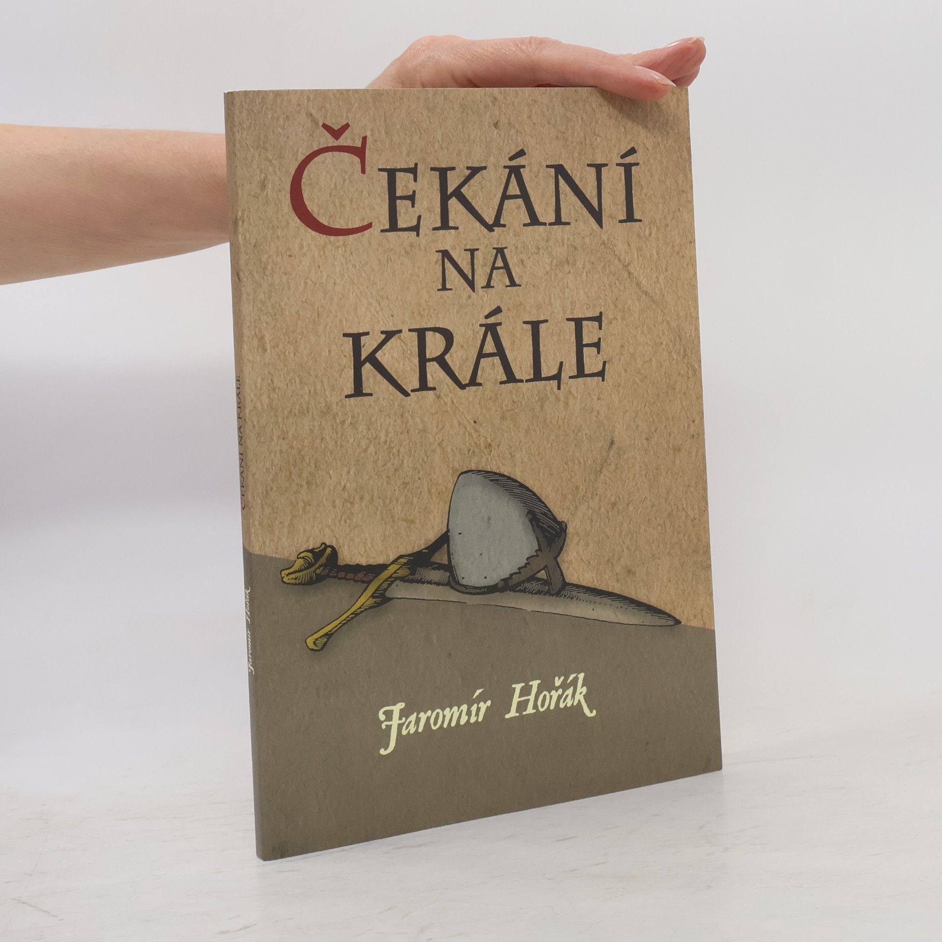 Jaromír Hořák Čekání na krále