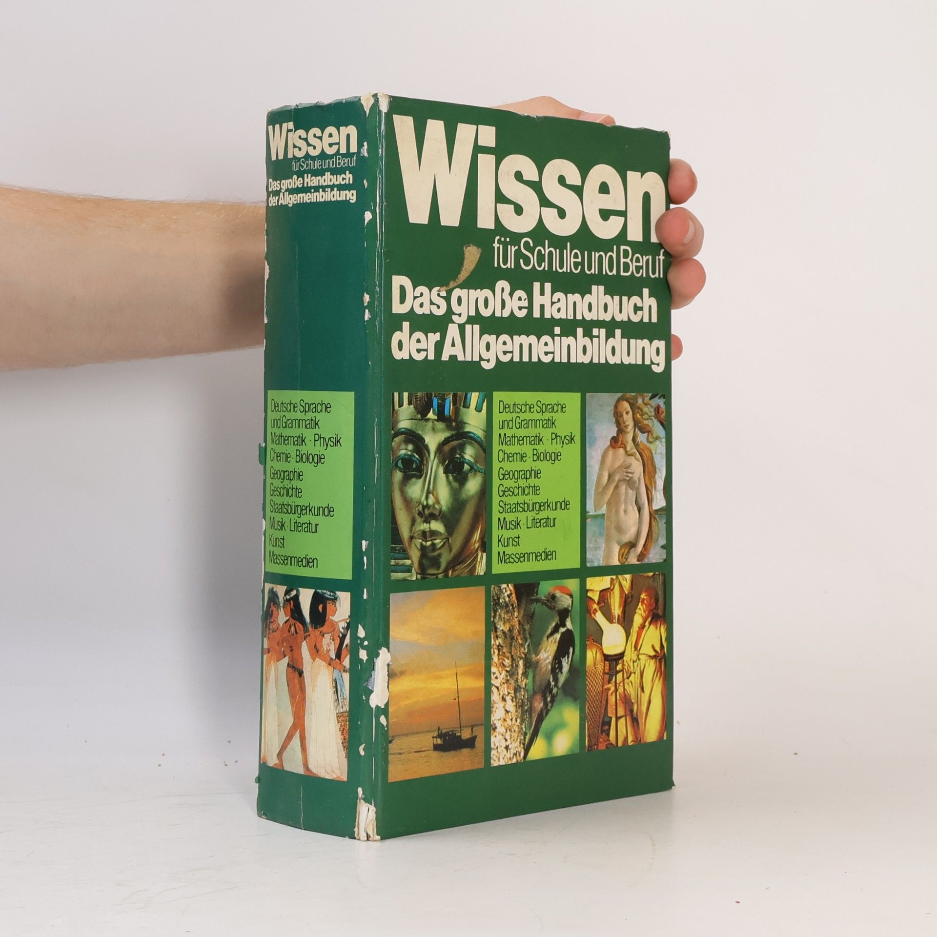 Autores varios Wissen für Schule und Beruf. Das große Handbuch der Allgemeinbildung