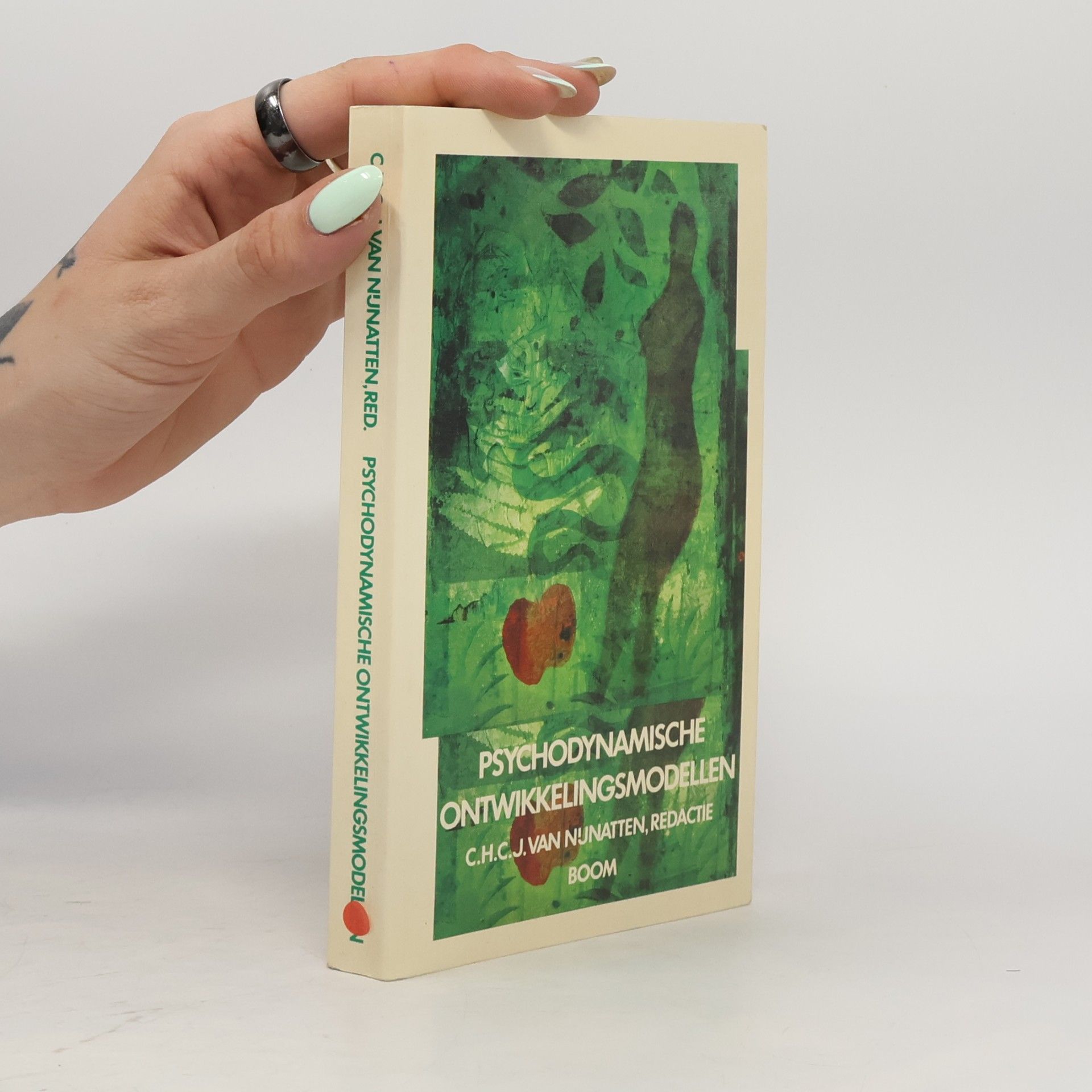 Autorenkollektiv Psychodynamische Ontwikkelingsmodellen