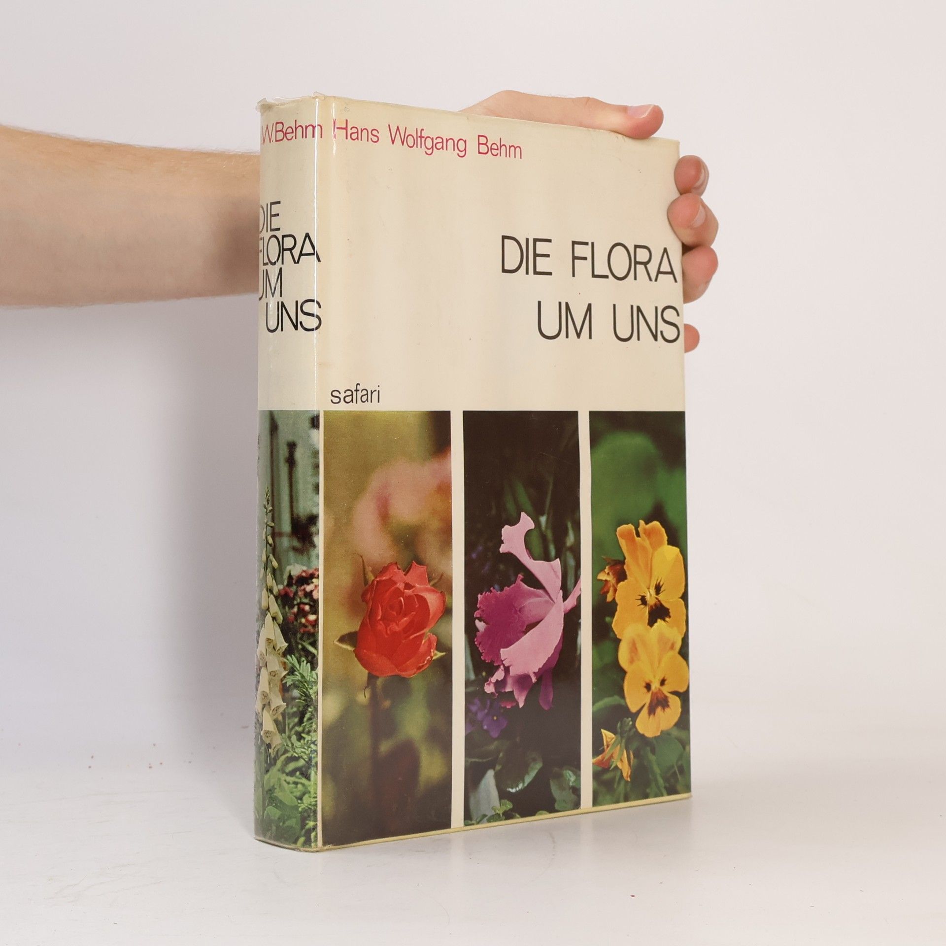 Die Flora um uns