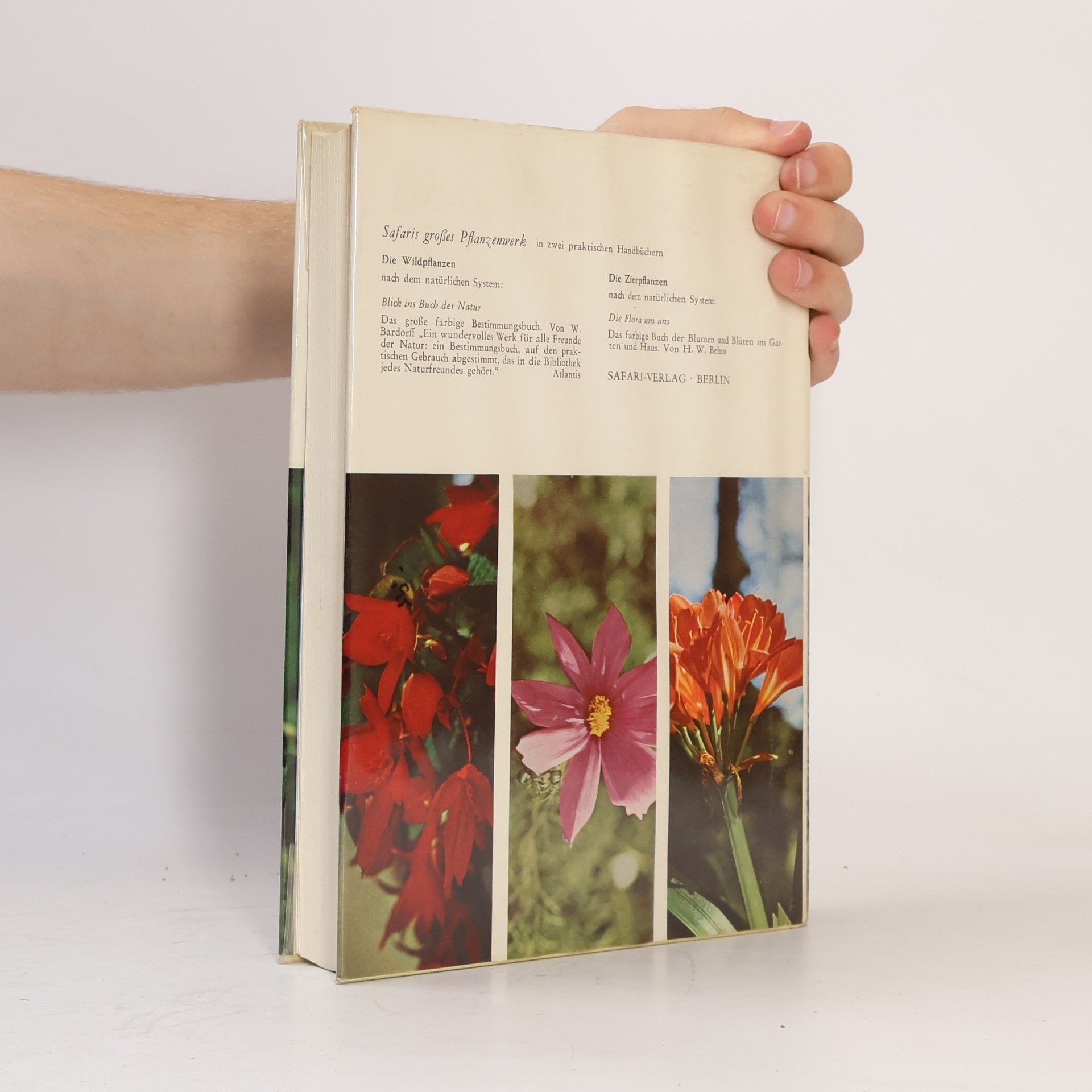 Hans Wolfgang Behm  Die Flora um uns