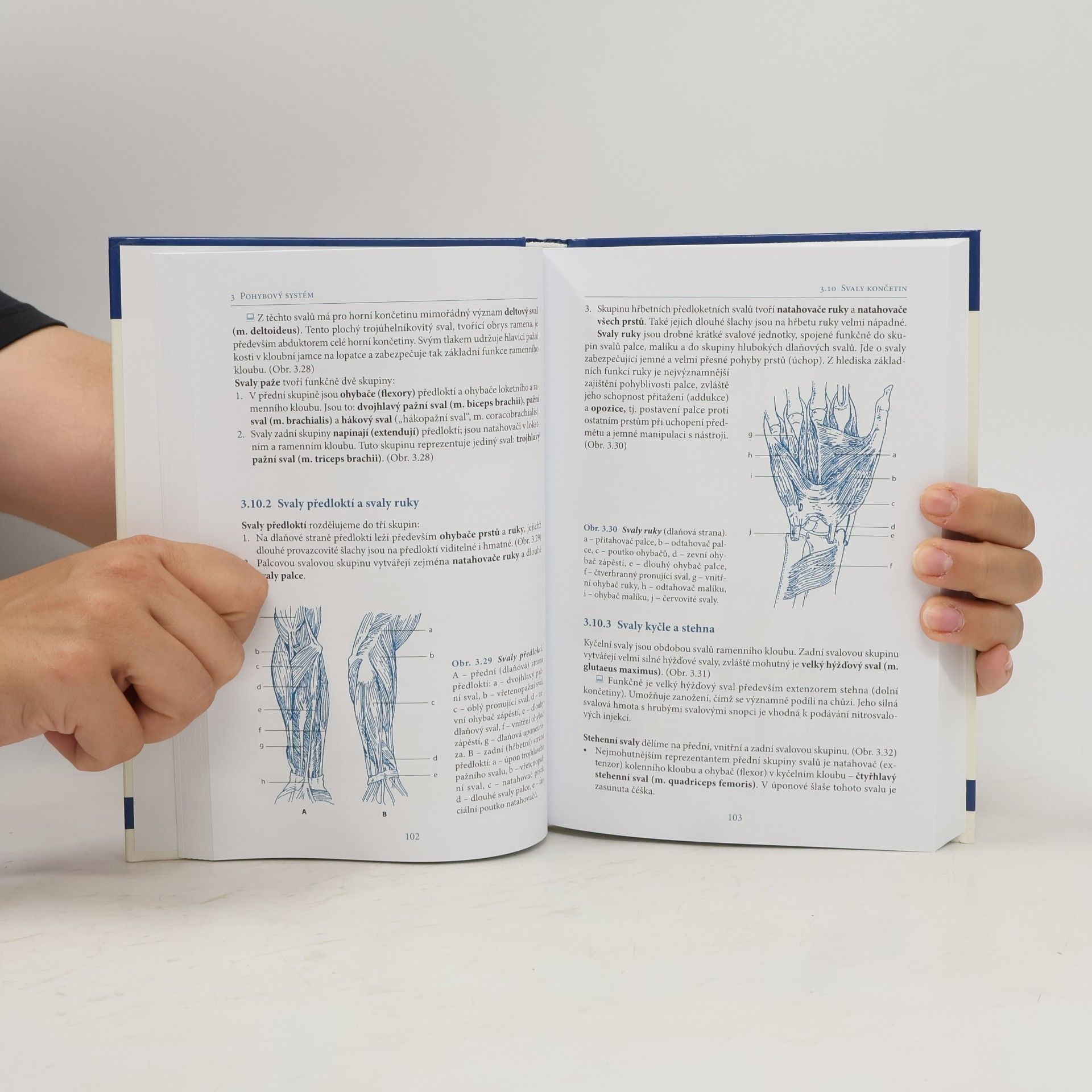 Ivan Dylevský Základy funkční anatomie