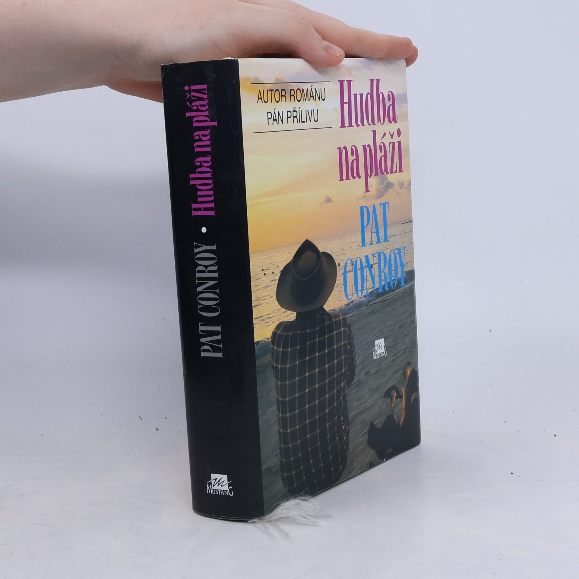Pat Conroy Hudba na pláži