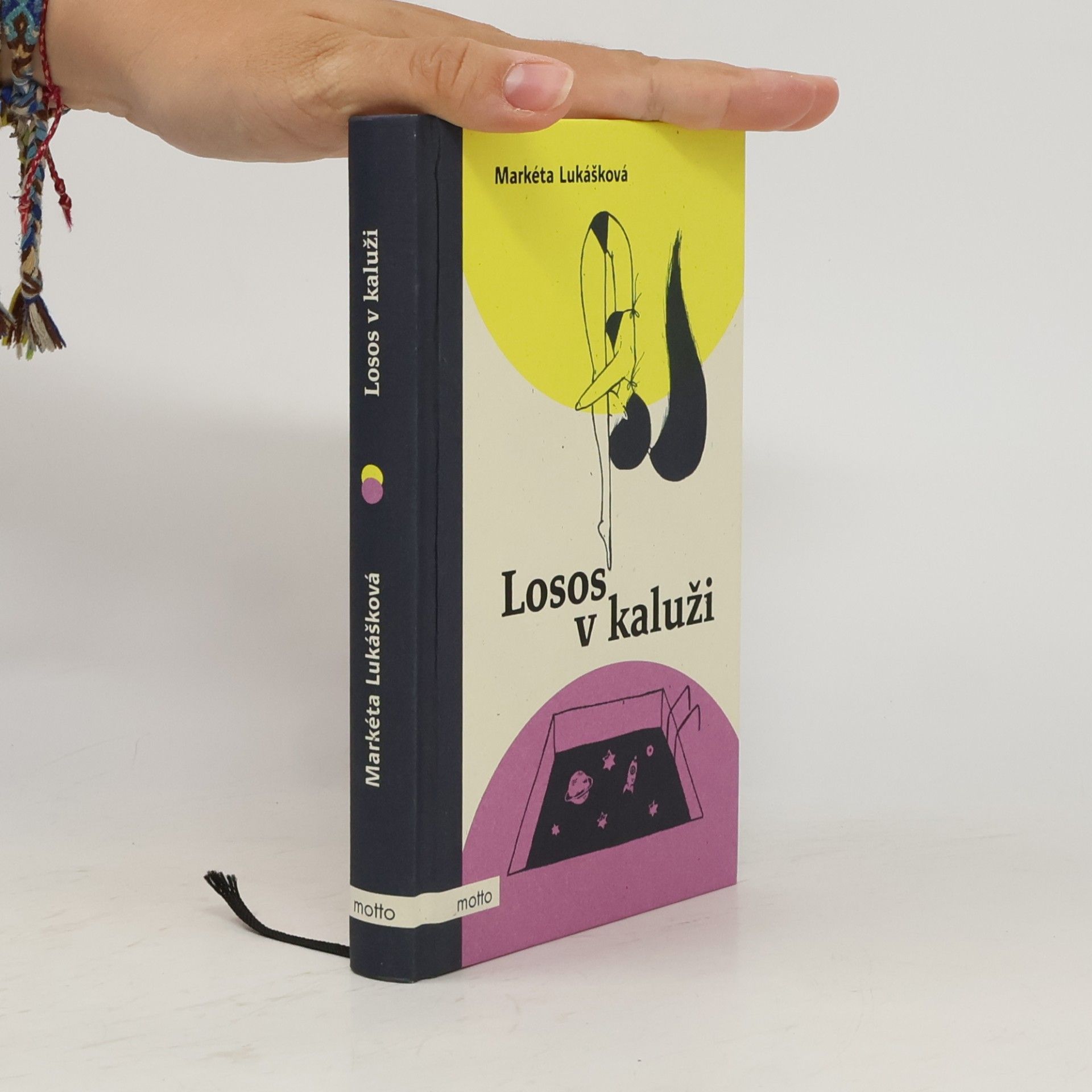 Markéta Lukášková Losos v kaluži