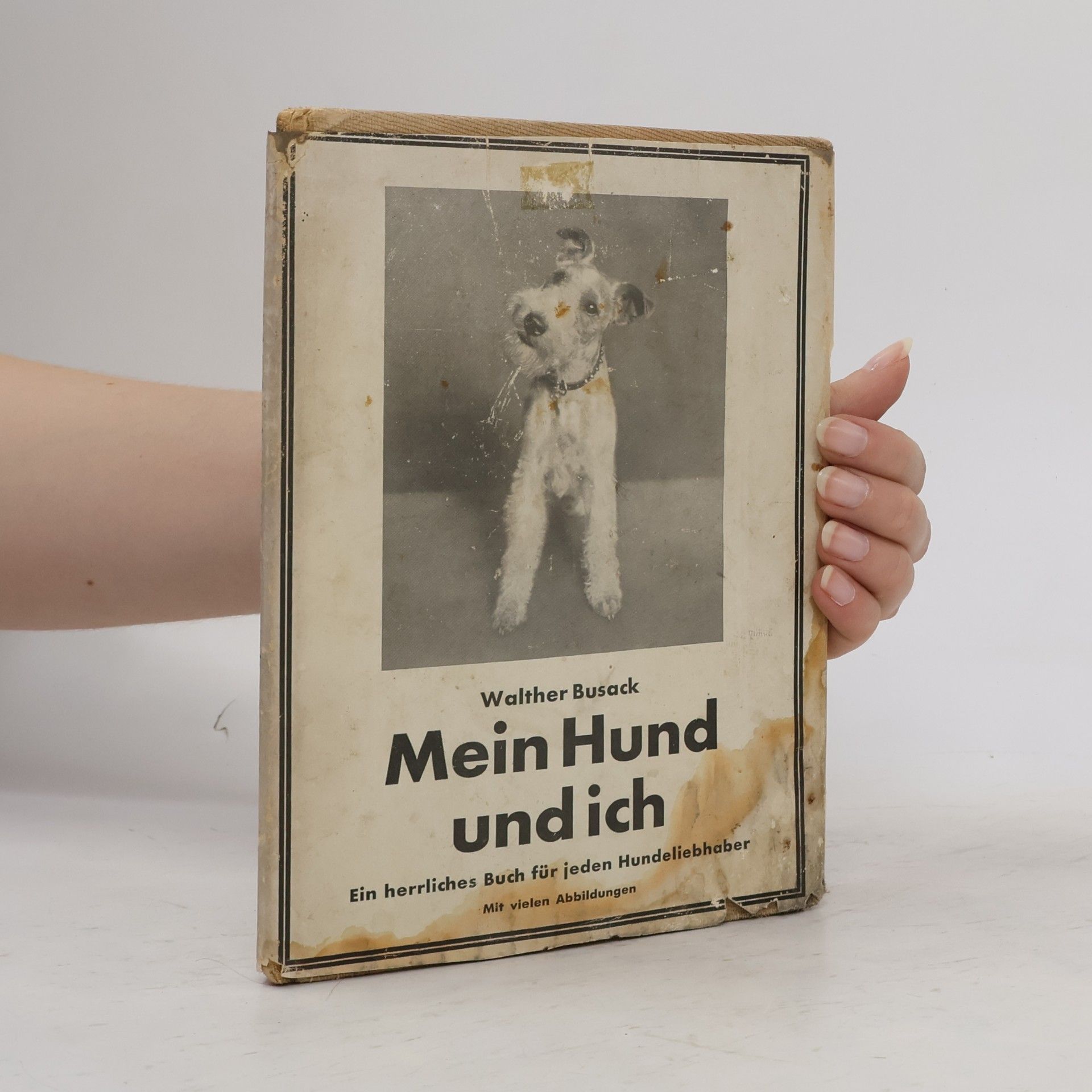 Walther Busack Mein Hund und ich