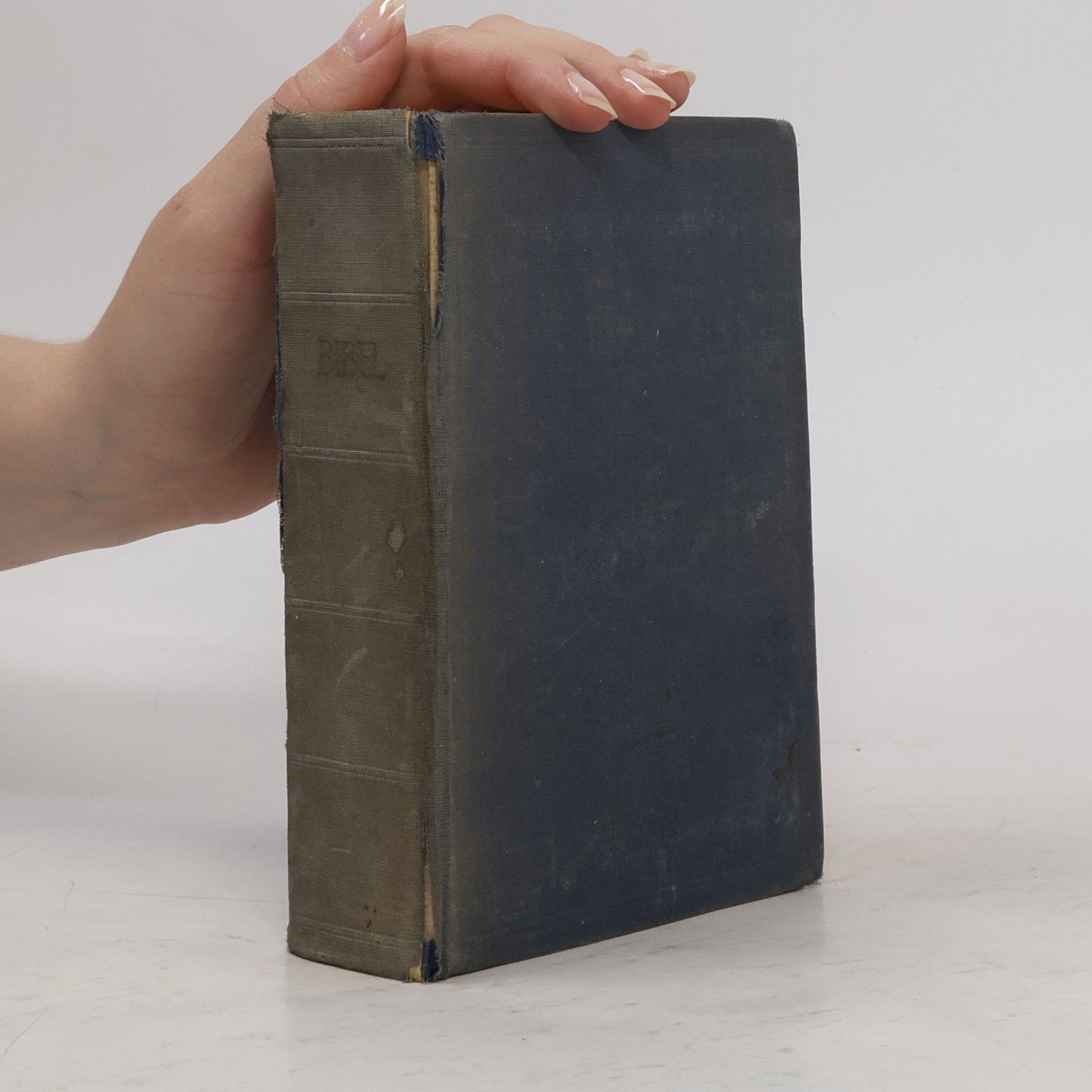 Auteurscollectief Bibel