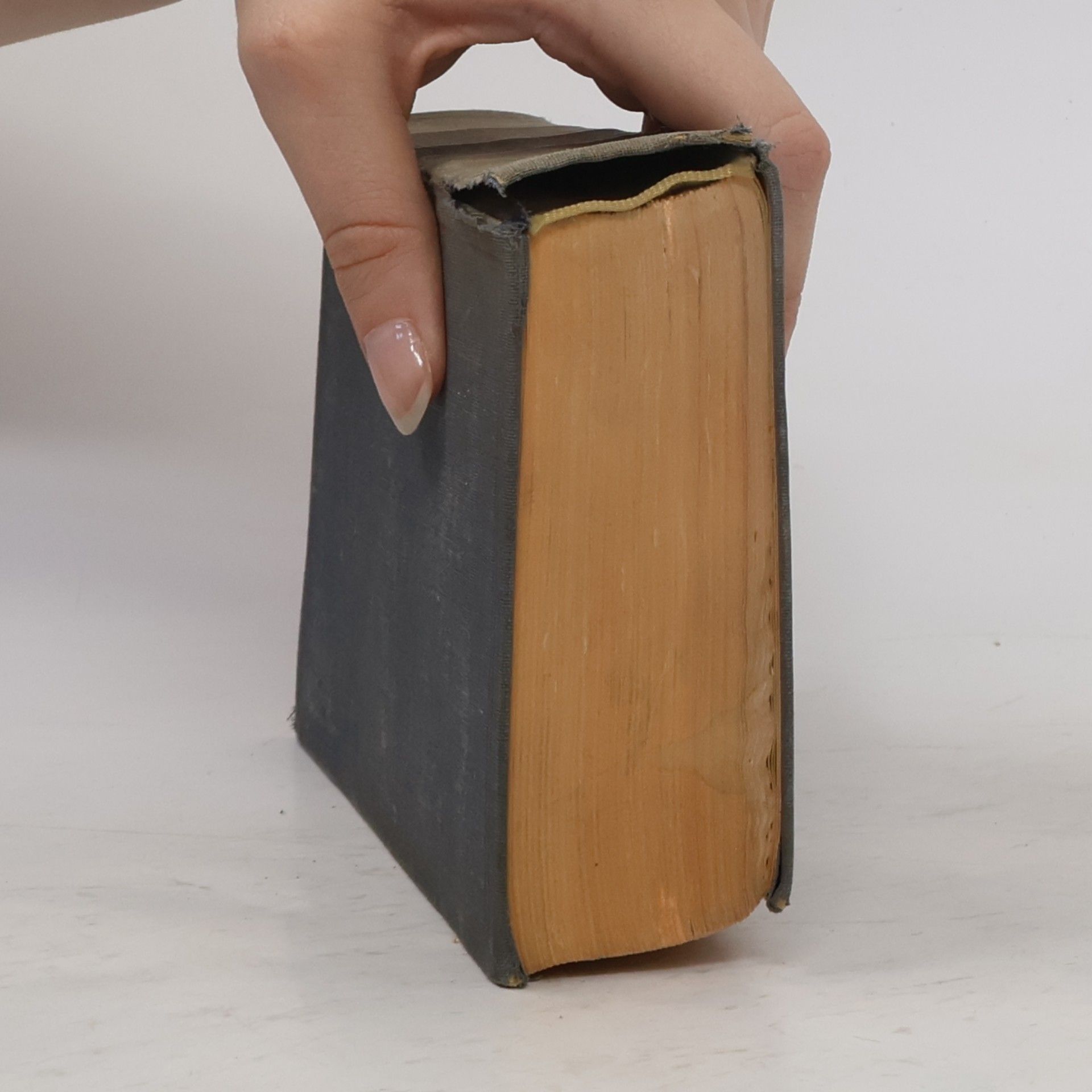 Auteurscollectief Bibel