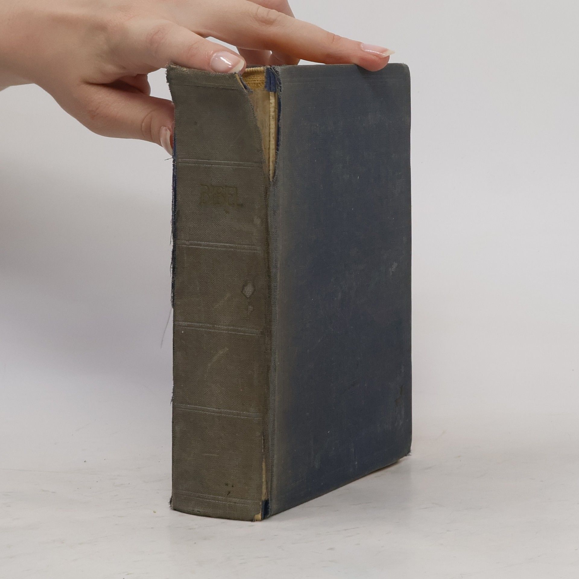 Auteurscollectief Bibel