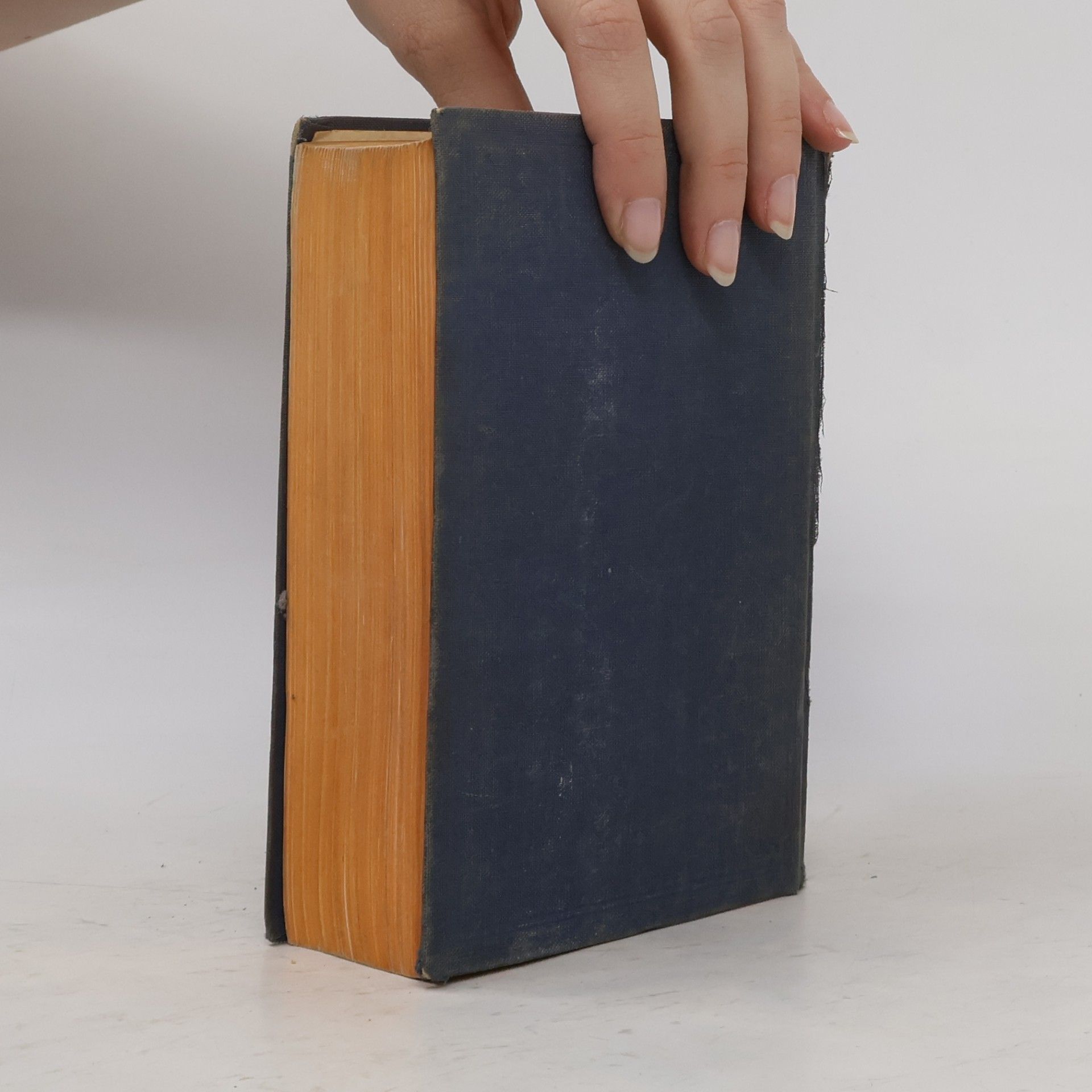 Auteurscollectief Bibel