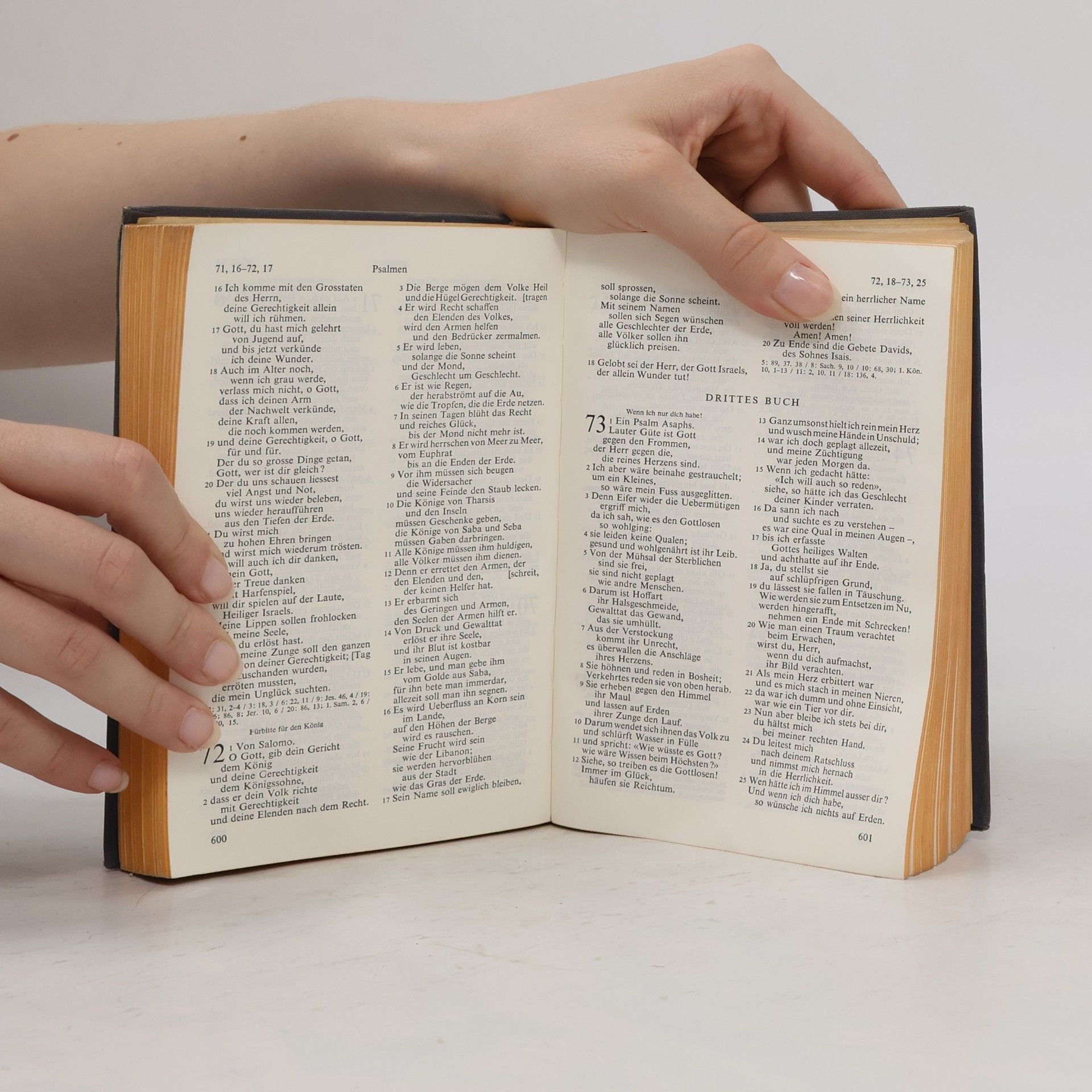 Auteurscollectief Bibel