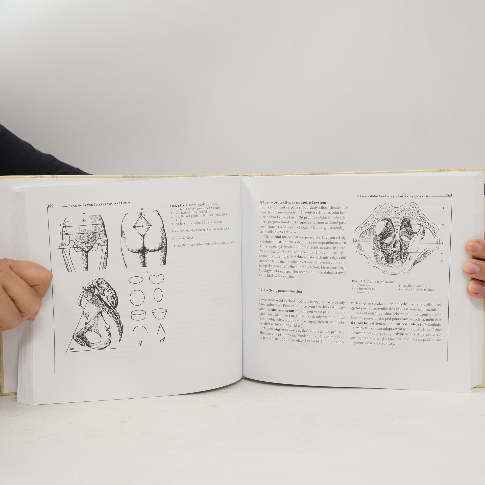 Ivan Dylevský Základy anatomie