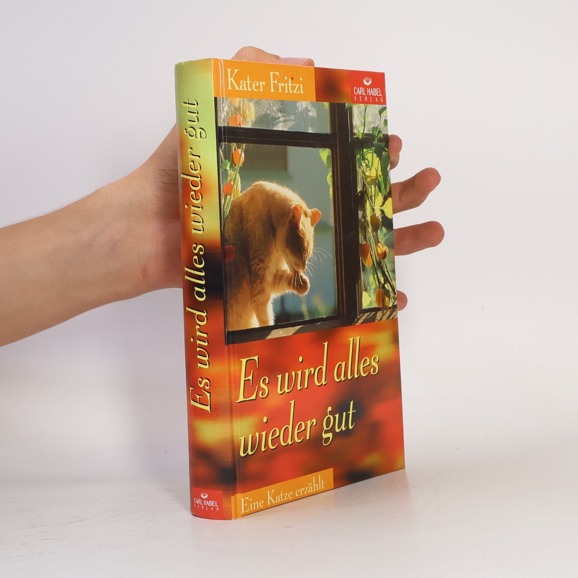 Autorenkollektiv Kater Fritzi. Es wird alles wieder gut