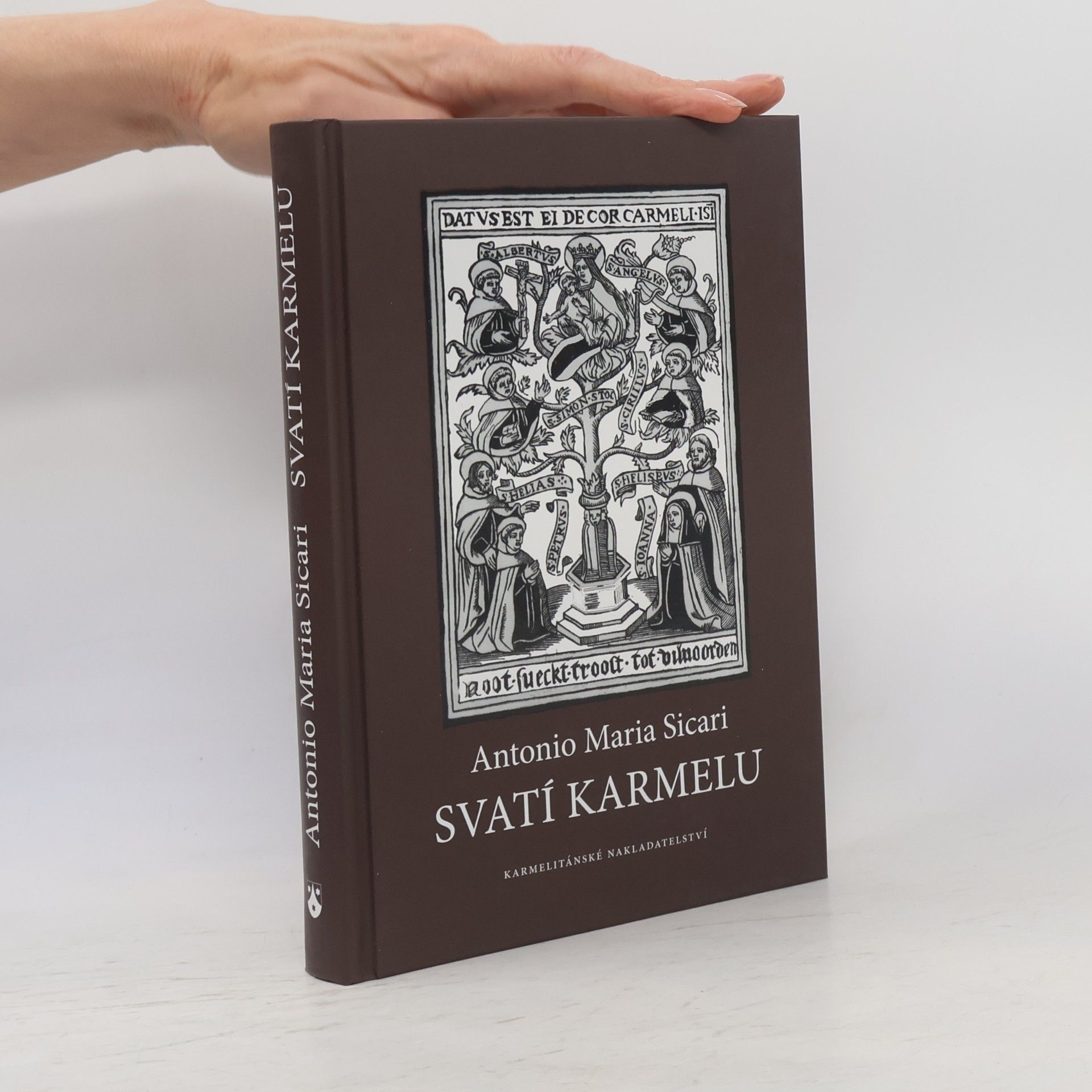 Antonio Sicari Svatí Karmelu