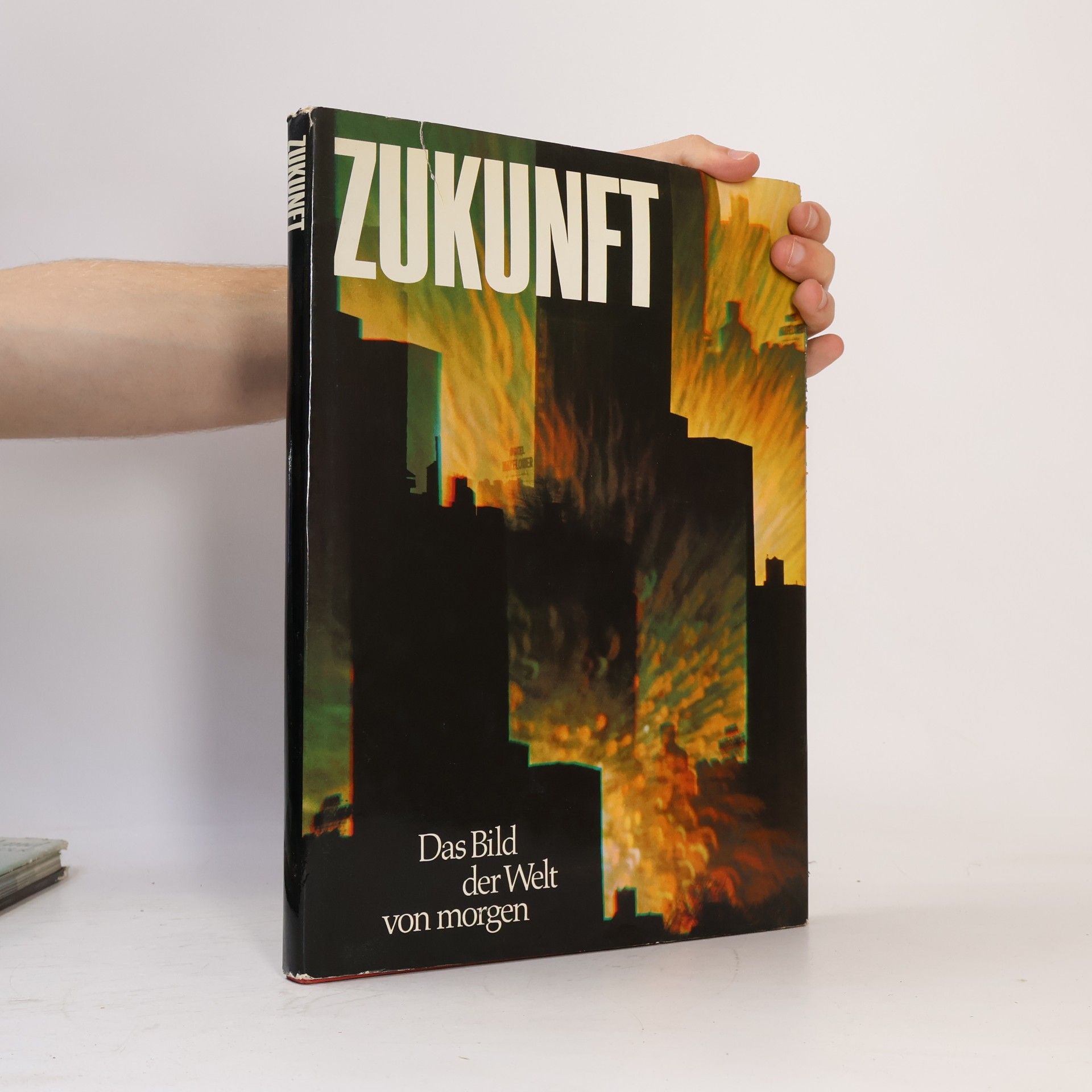 Ulrich Schippke Zukunft. Das Bild der Welt von morgen