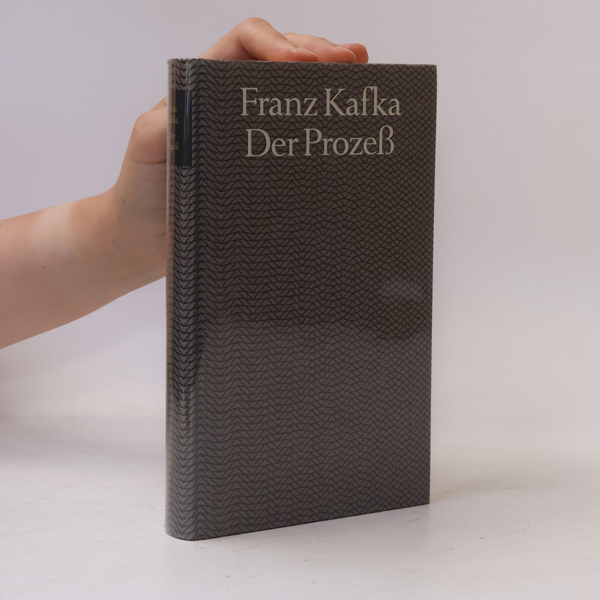 Franz Kafka Der Prozeß