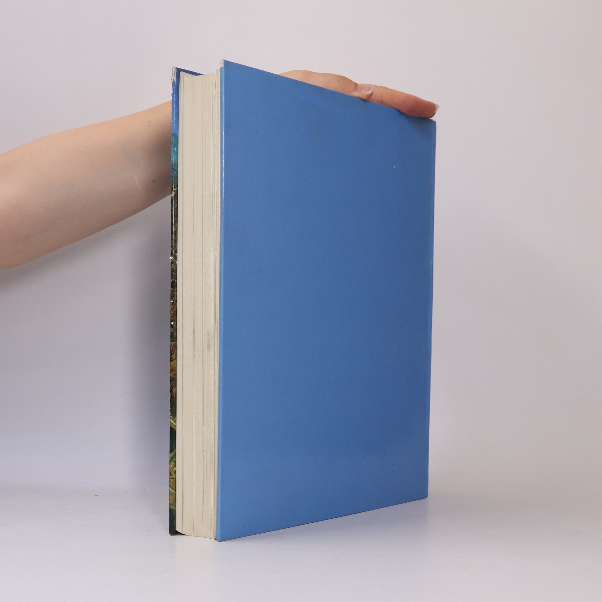 Various authors Das grosse ADAC-Alpenbuch