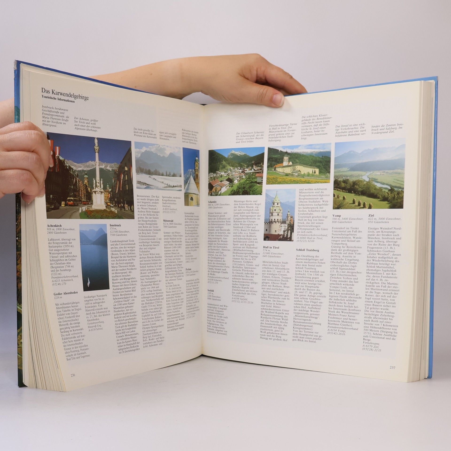 Various authors Das grosse ADAC-Alpenbuch