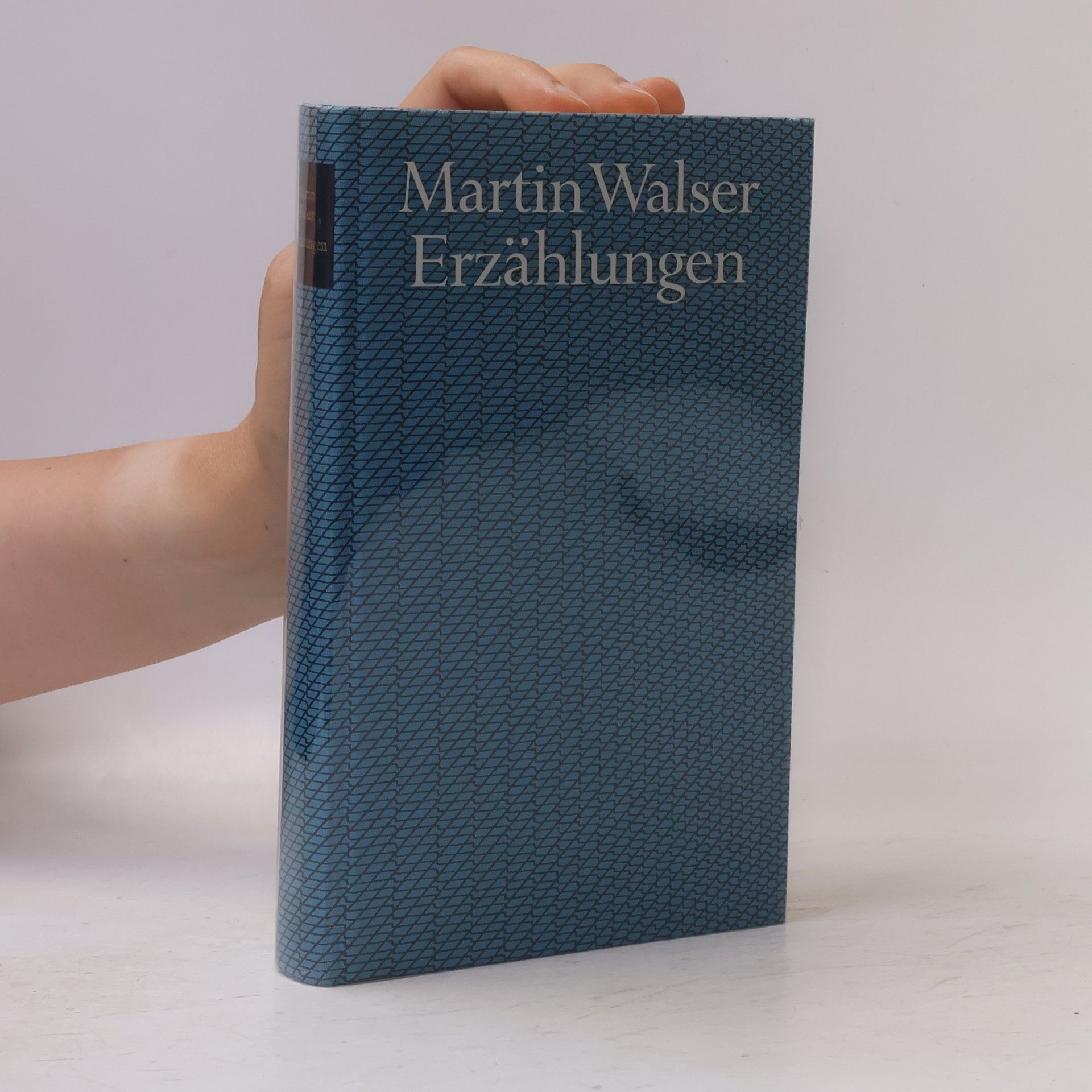 Martin Walser Erzählungen