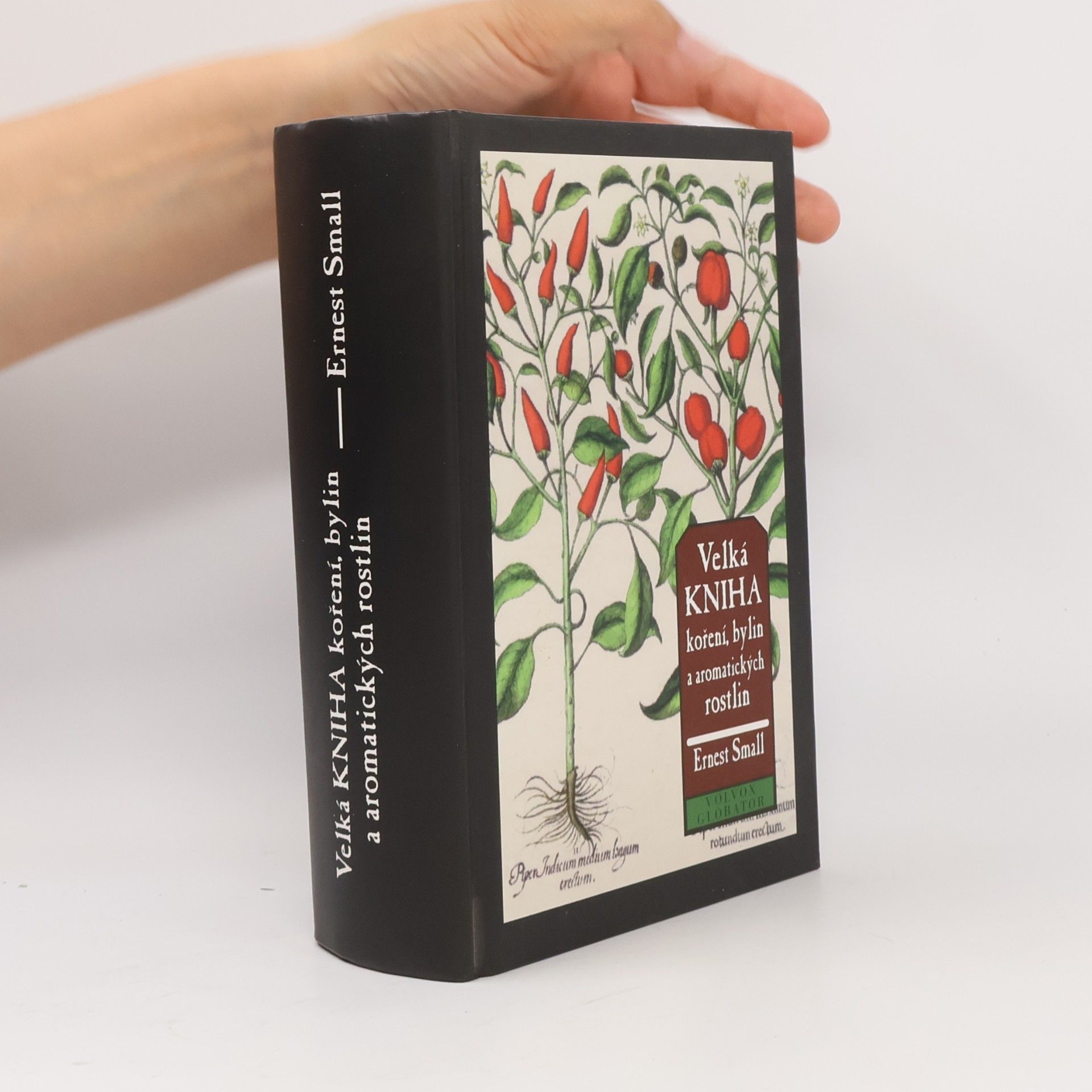 Ernest Small Velká kniha koření, bylin a aromatických rostlin
