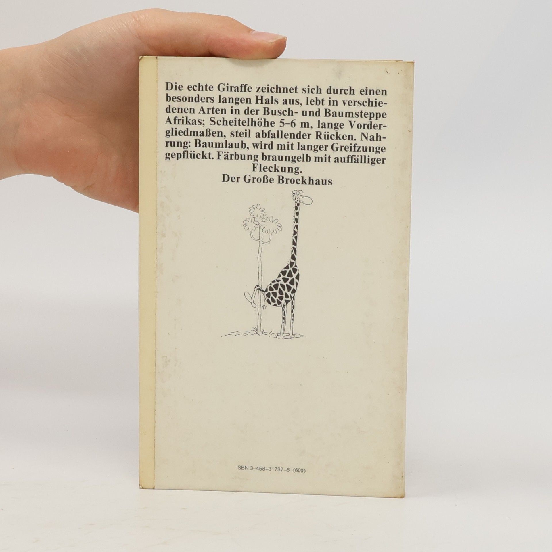 Guillermo Mordillo Das Giraffenbuch