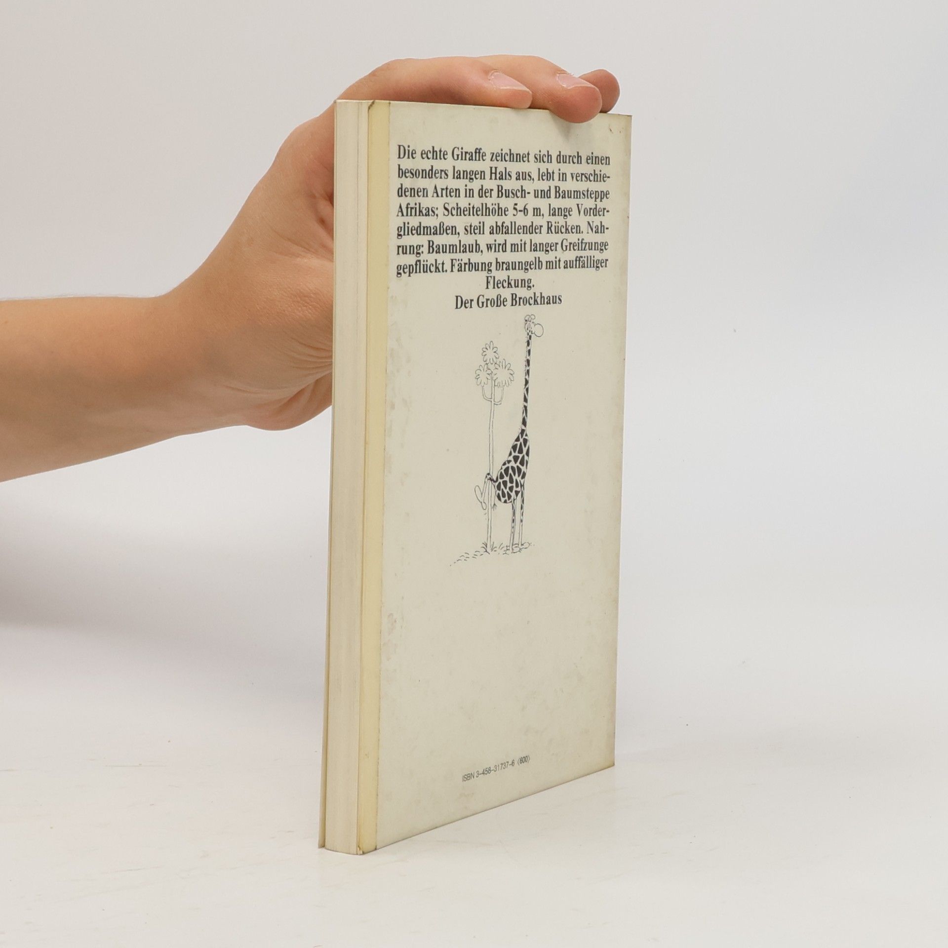Guillermo Mordillo Das Giraffenbuch