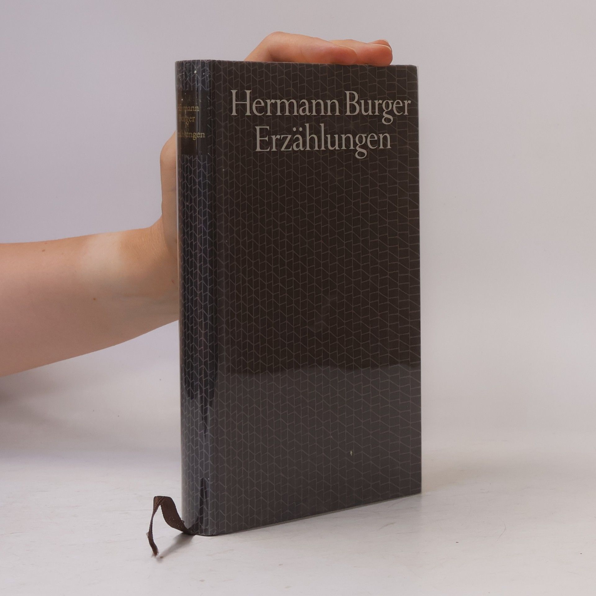 Hermann Bürger Erzählungen