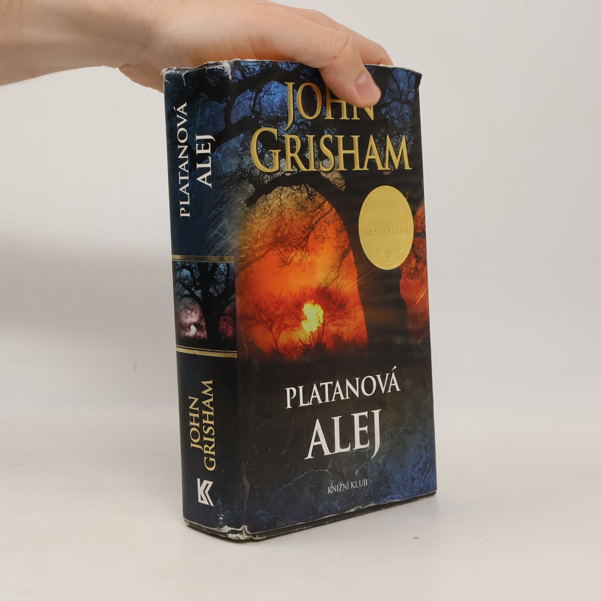 John Grisham Platanová alej