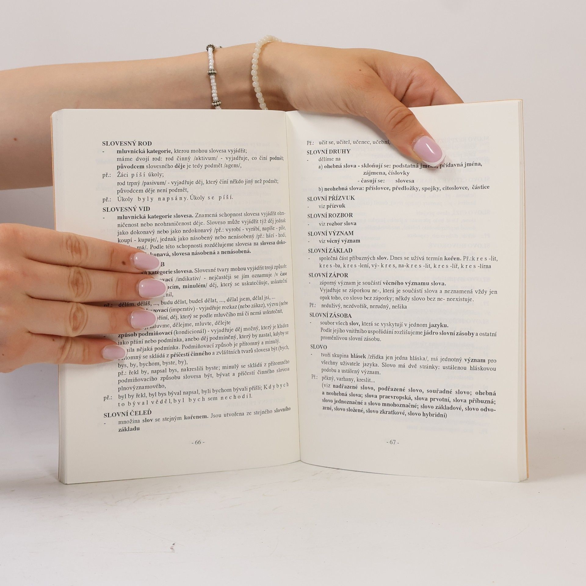Radoslava Kvapilová Brabcová Přehled pojmů z českého jazyka a literatury