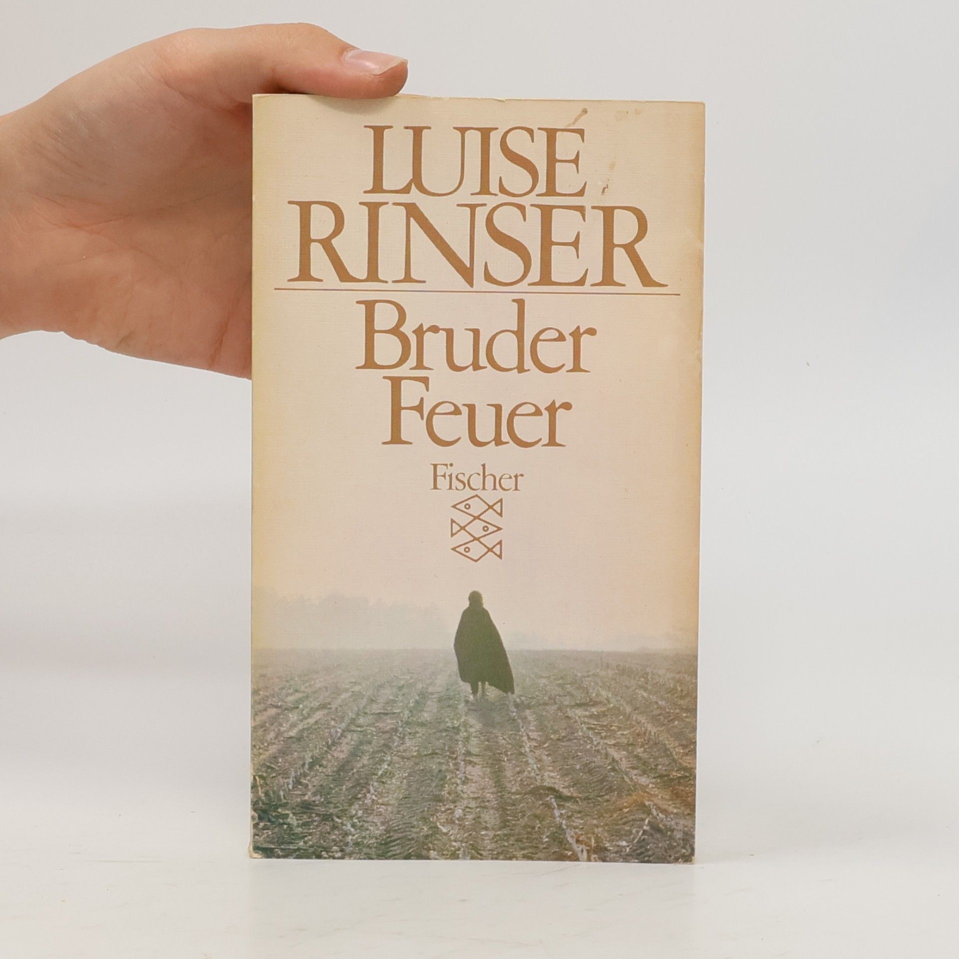 Luise Rinser Bruder Feuer