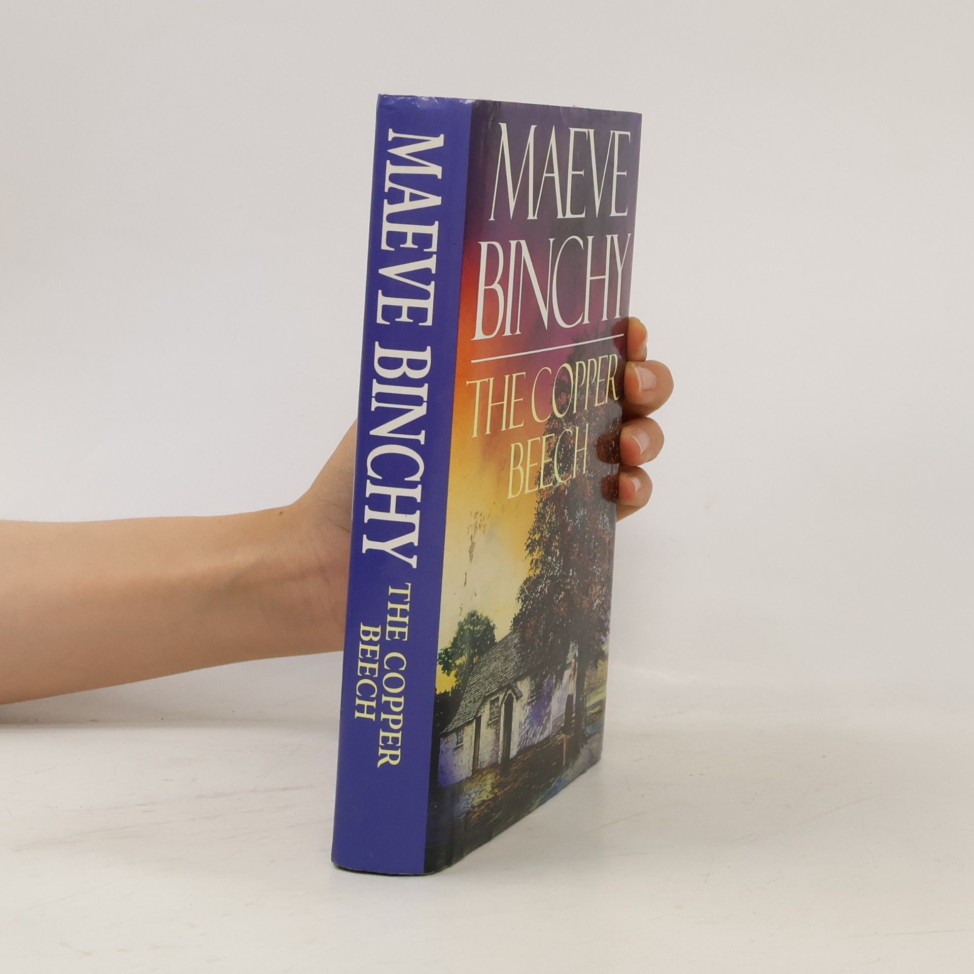 Maeve Binchy The Copper Beech