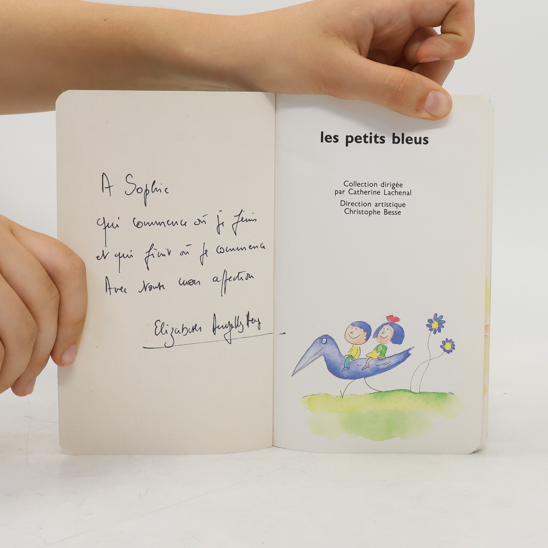Fernando Puig Rosado Les Petits Bleus: Guide du Centre Pompidou