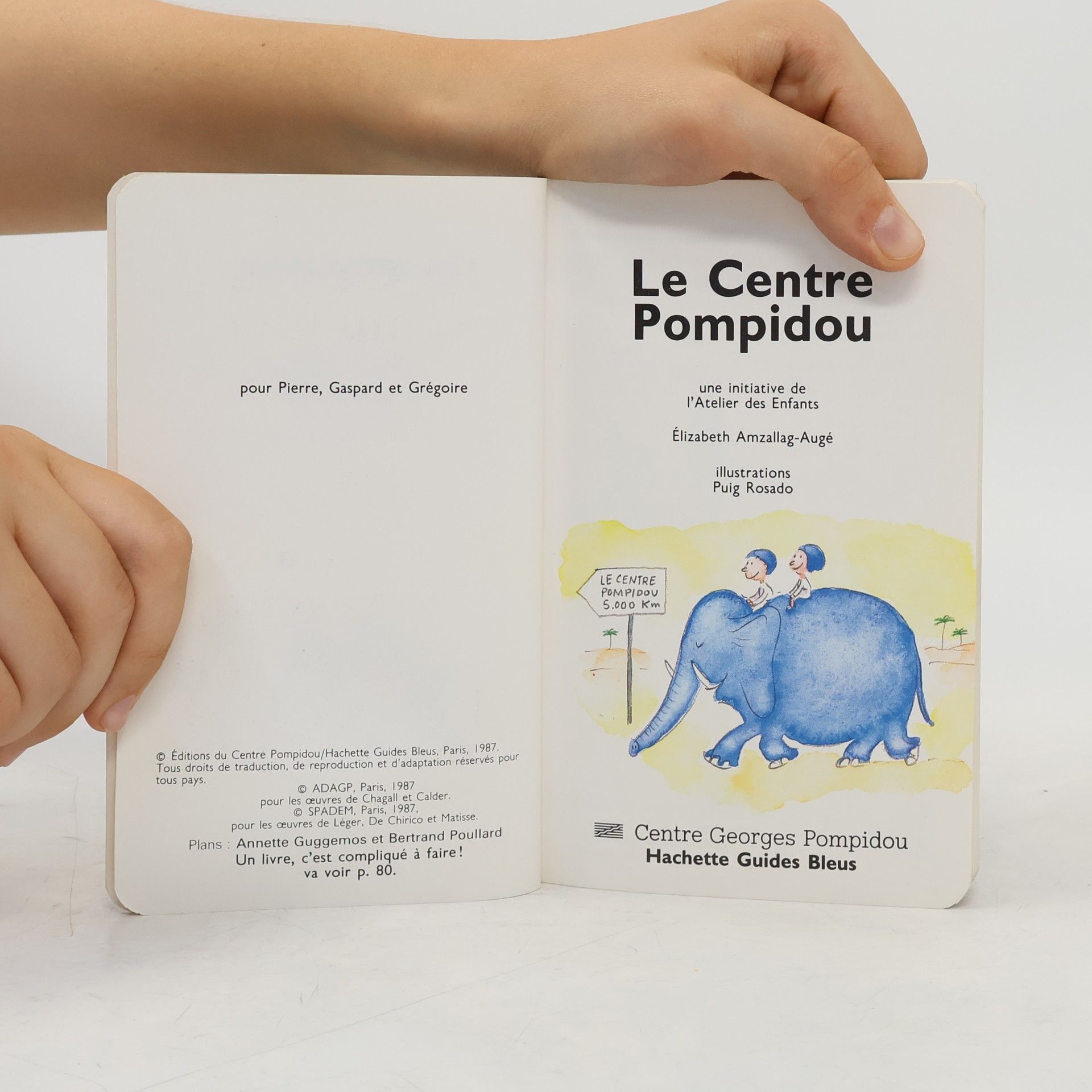 Fernando Puig Rosado Les Petits Bleus: Guide du Centre Pompidou