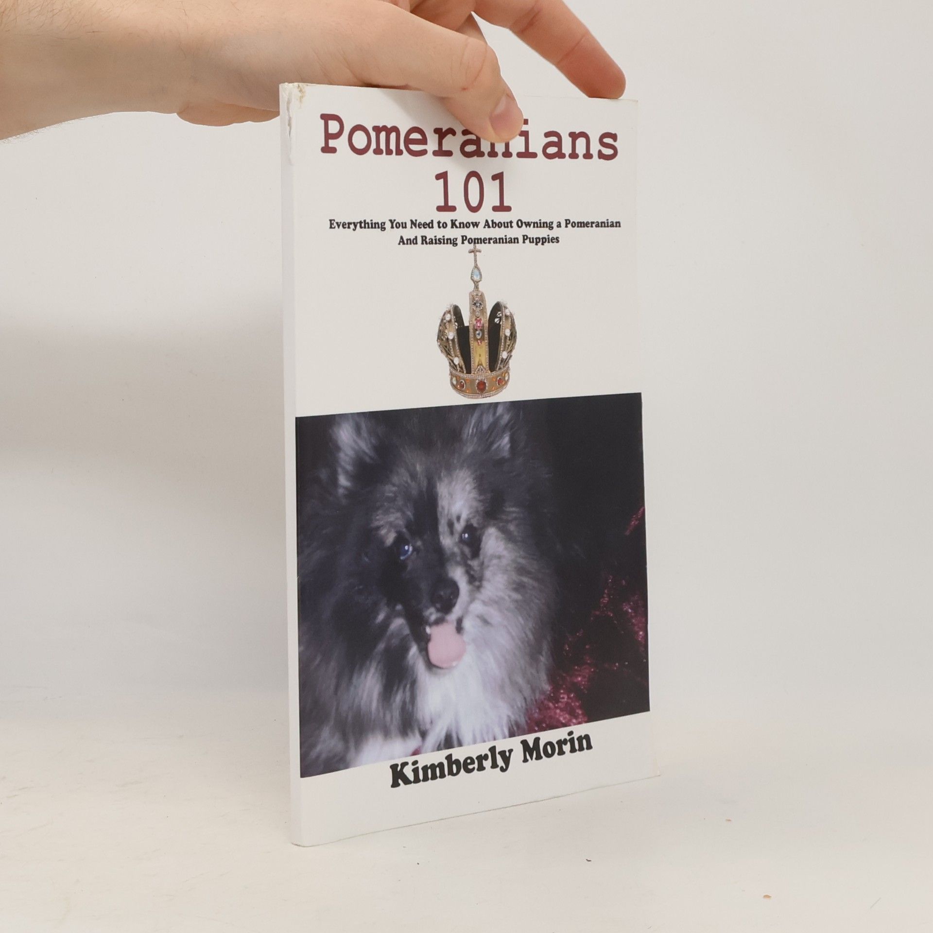 Kimberly Morin Pomeranians 101