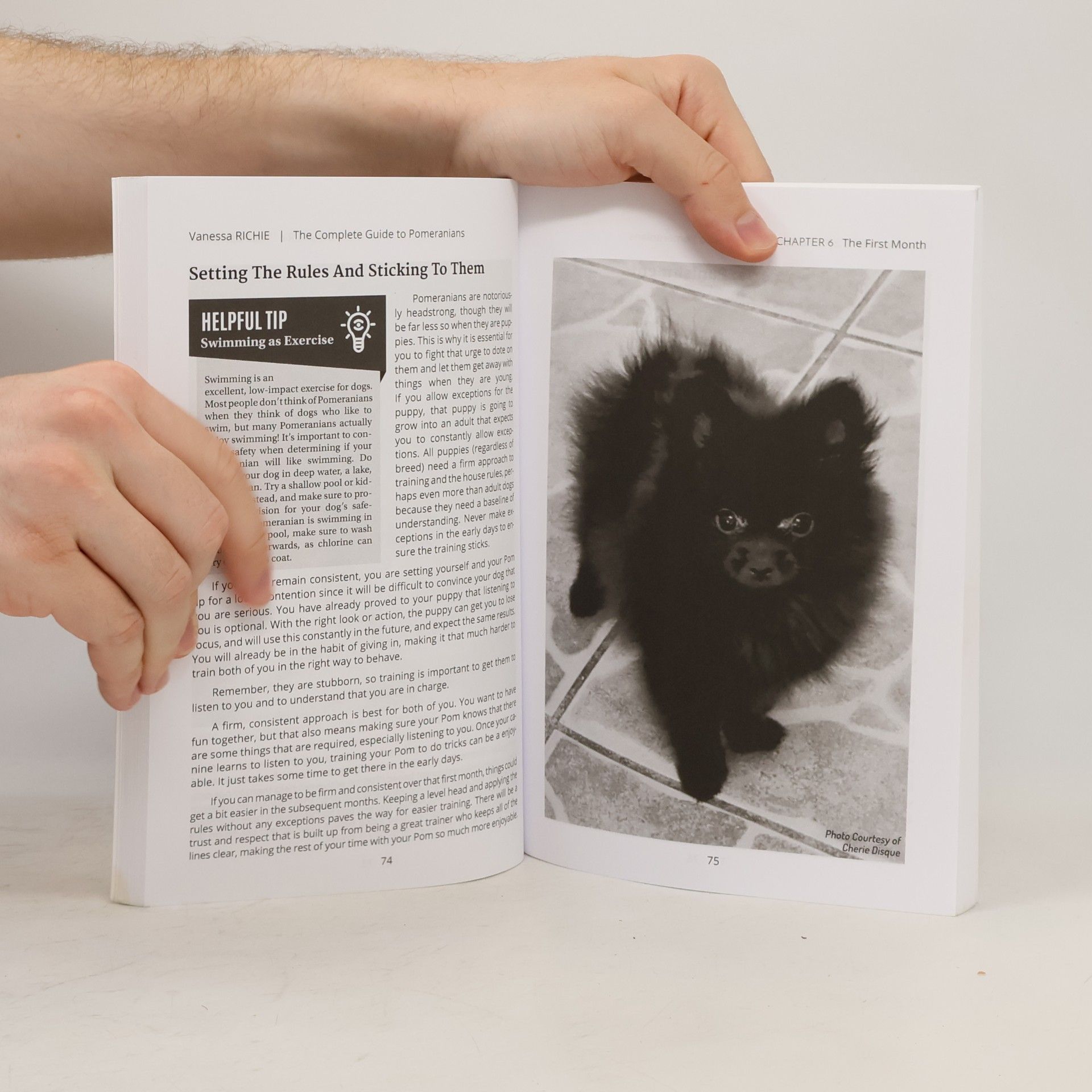 Vanessa Richie The Complete Guide to Pomeranians