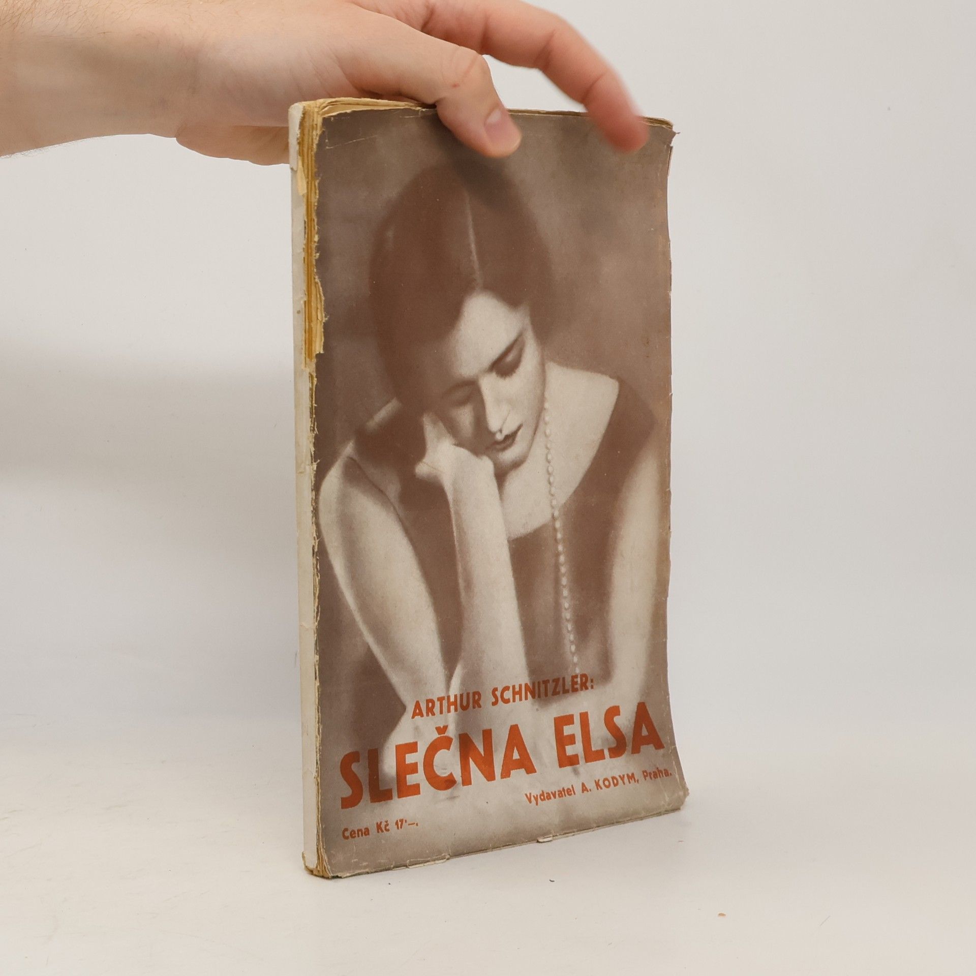 Arthur Schnitzler Slečna Elsa