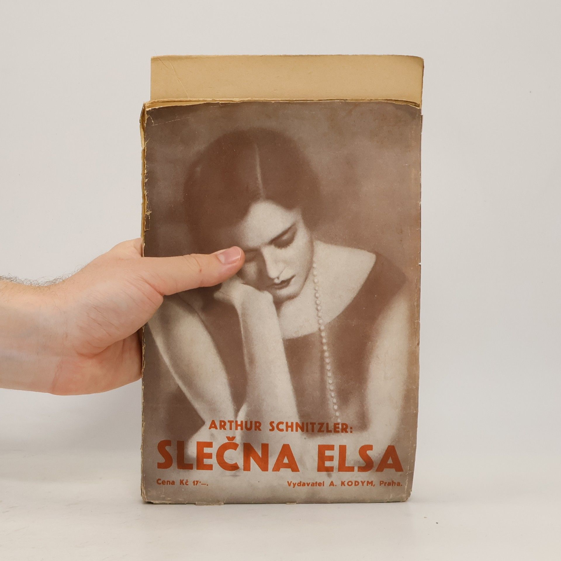 Arthur Schnitzler Slečna Elsa