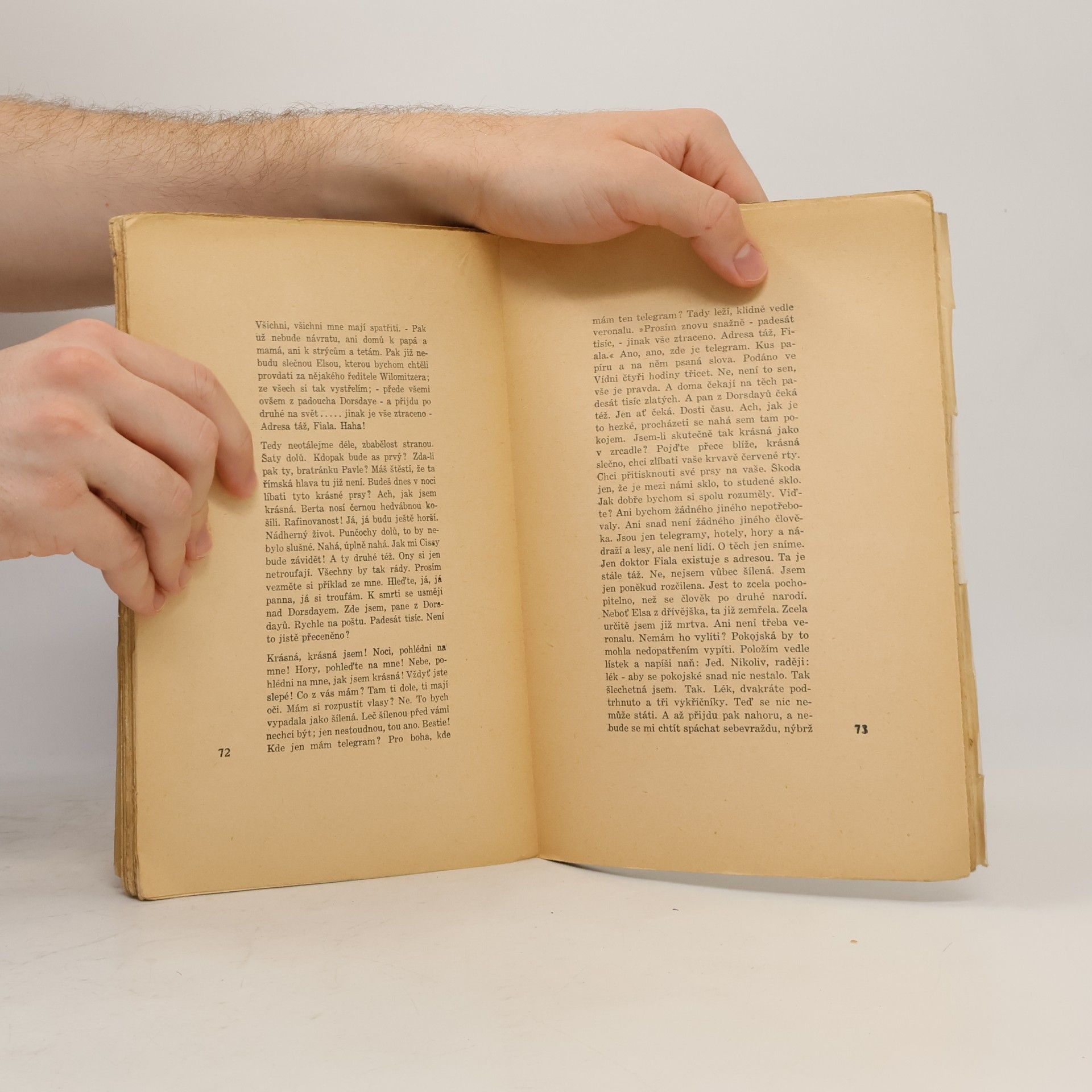 Arthur Schnitzler Slečna Elsa