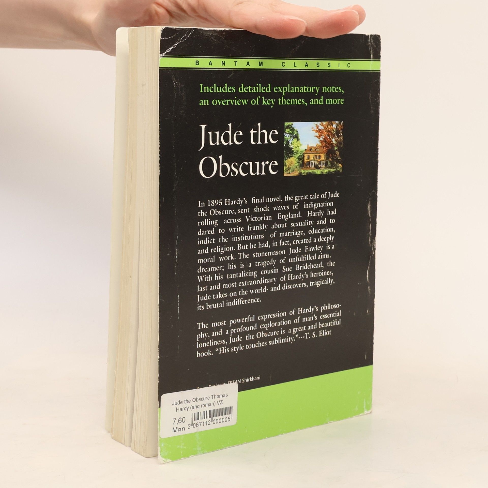 Thomas Hardy Jude the Obscure