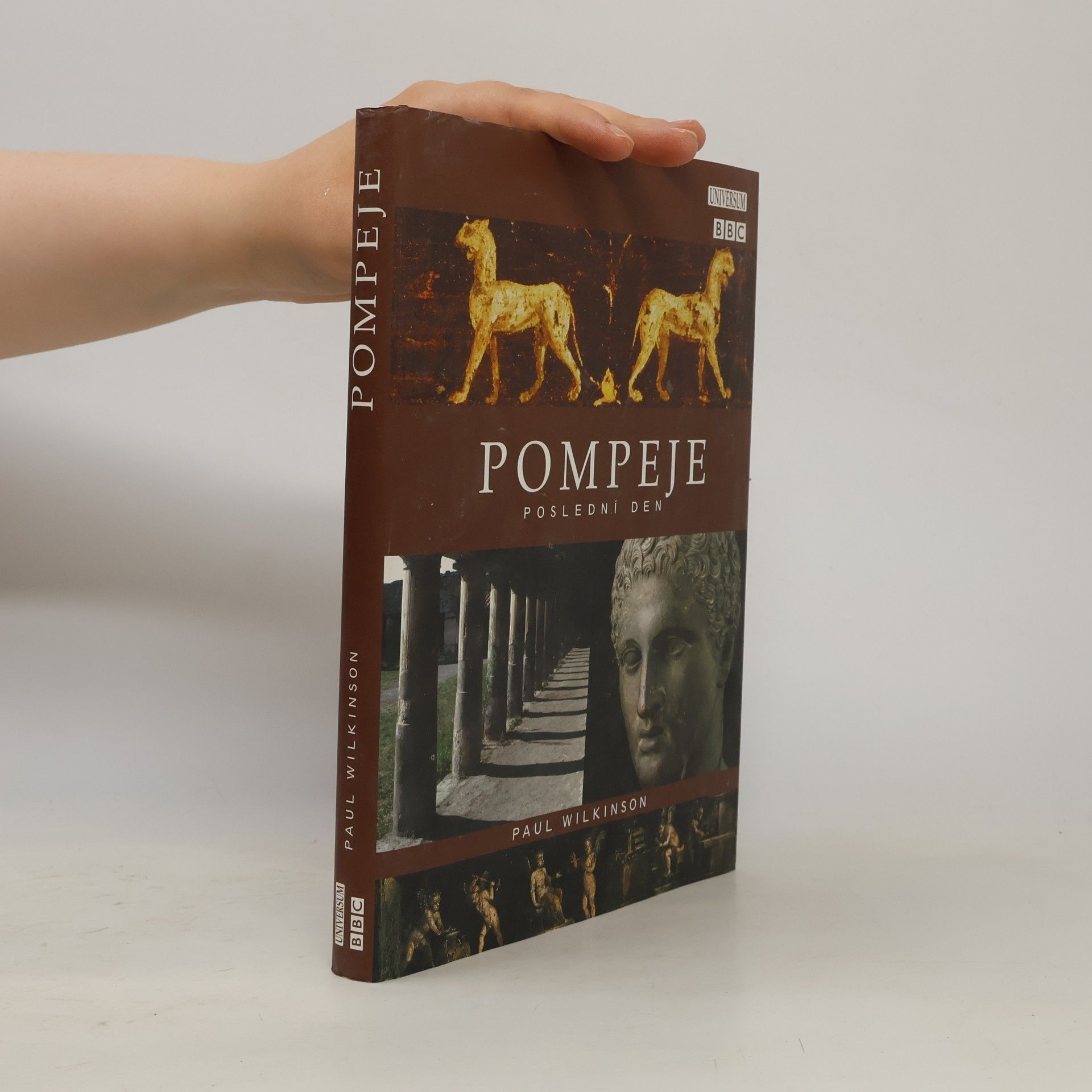 Paul Wilkinson Pompeje: poslední den