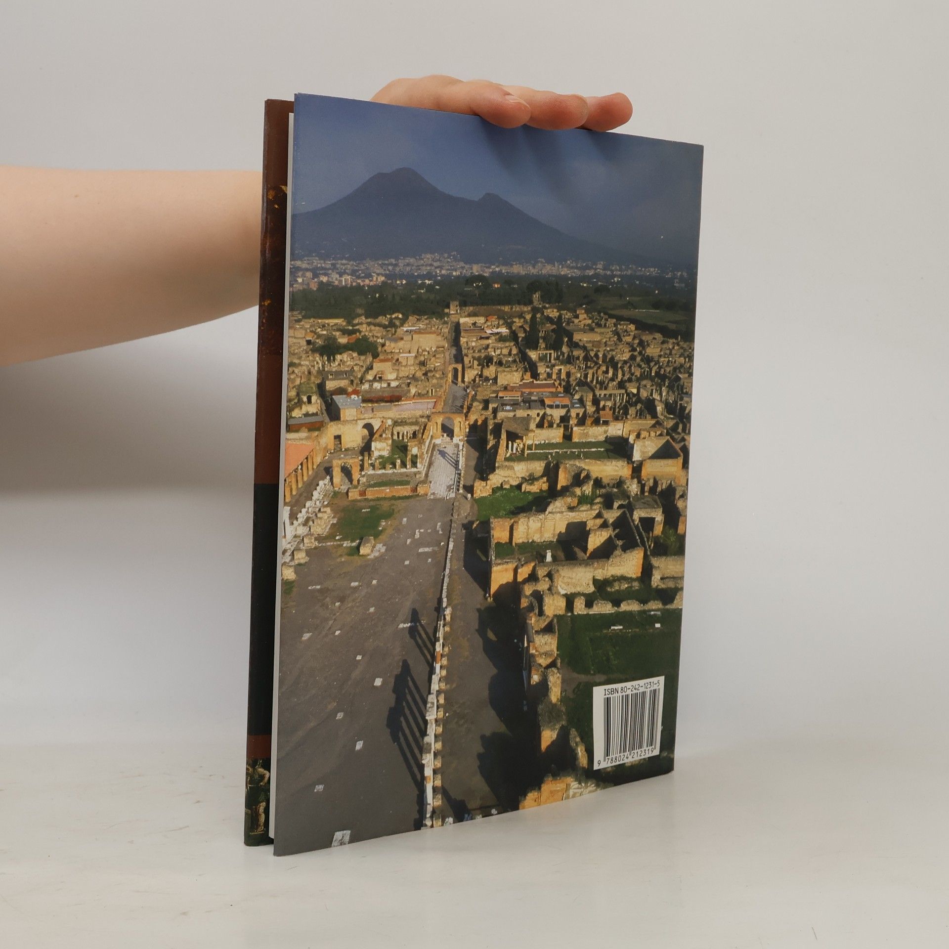 Paul Wilkinson Pompeje: poslední den