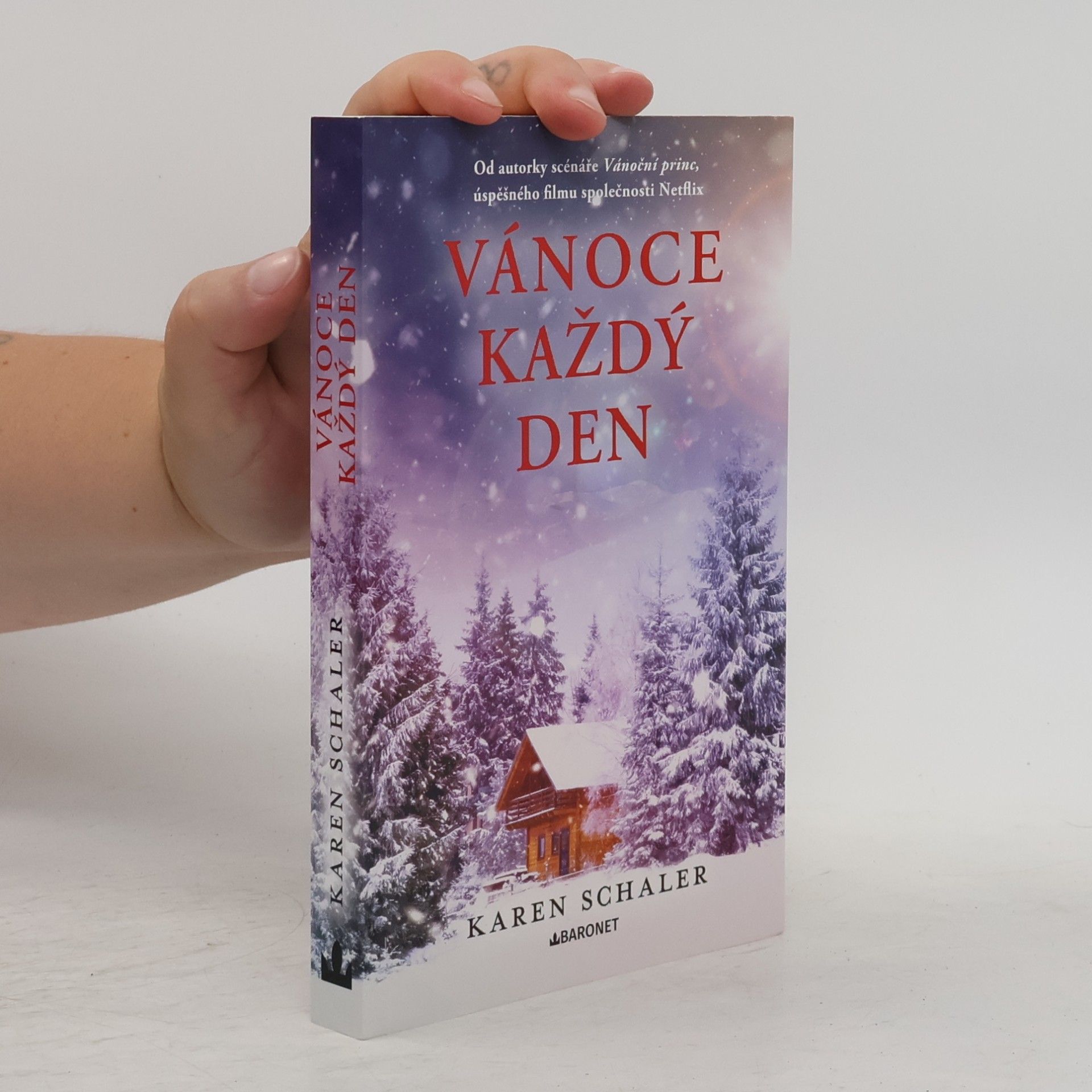 Karen Schaler Vánoce každý den