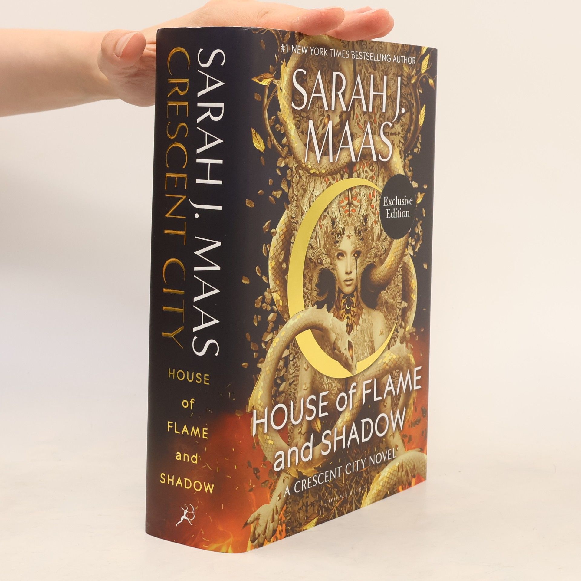 Sarah J. Maas House of Flame and Shadow
