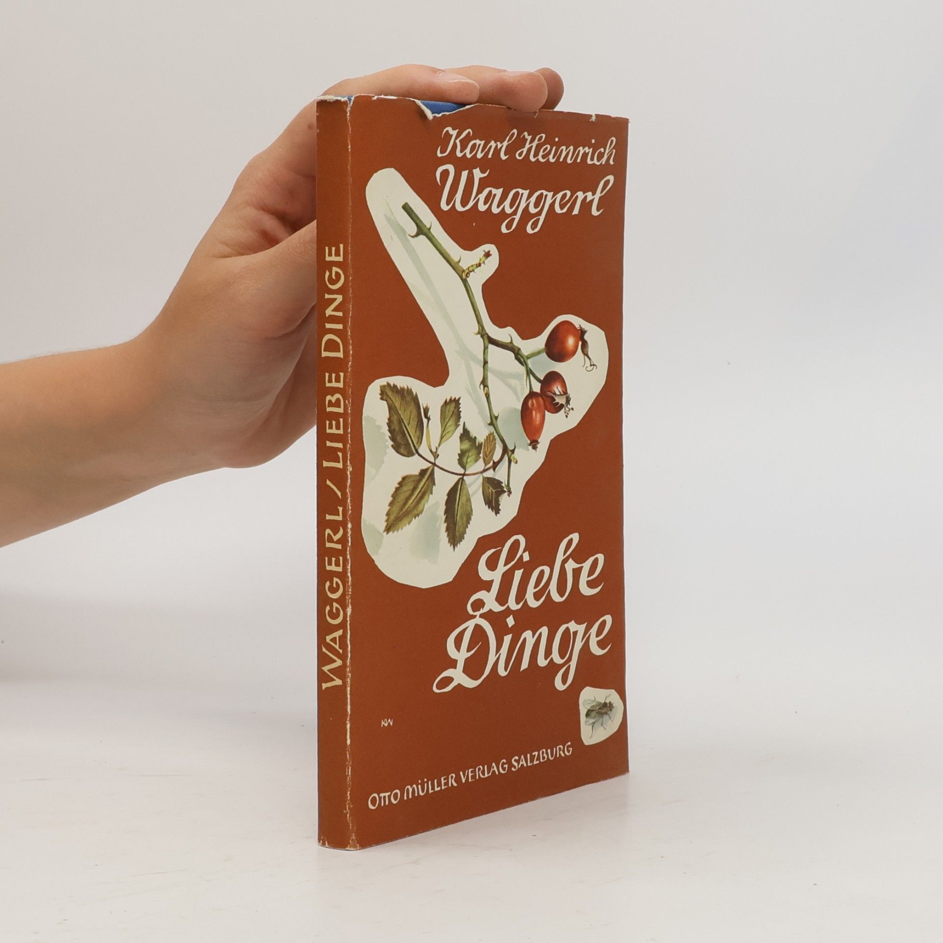 Karl Heinrich Waggerl Liebe Dinge