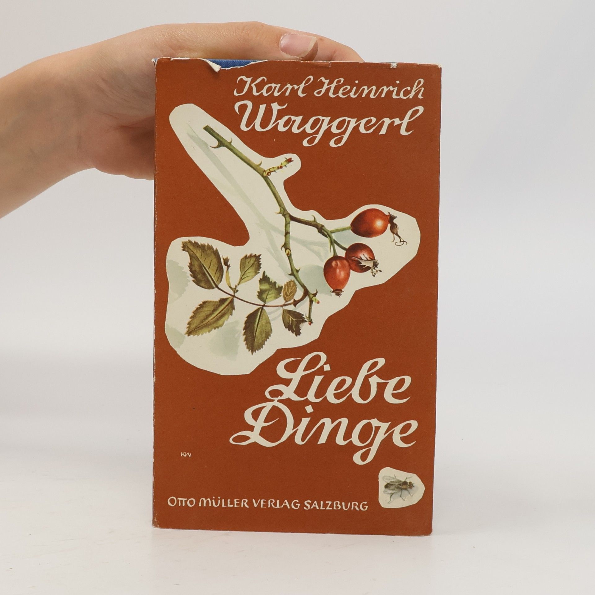 Karl Heinrich Waggerl Liebe Dinge