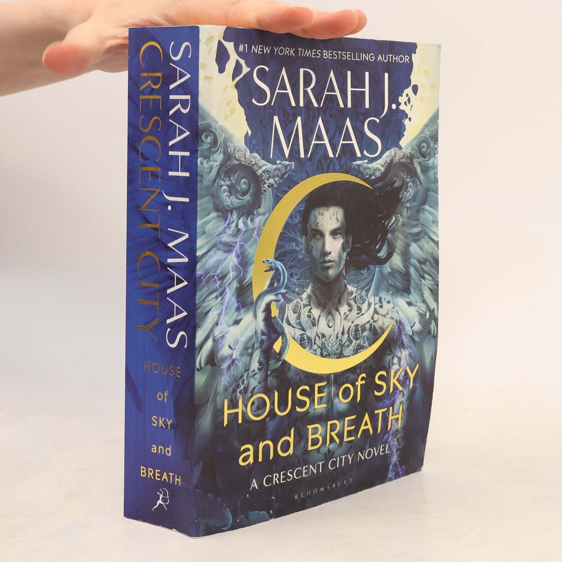 Sarah J. Maas House of sky and breath