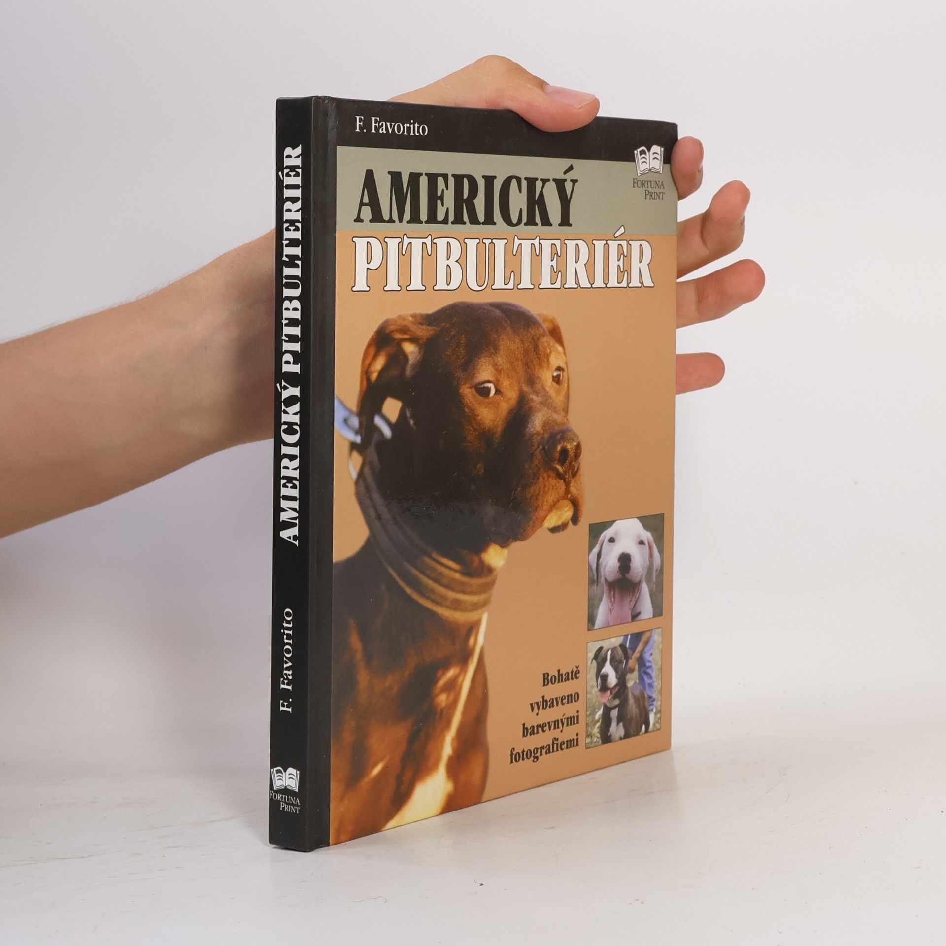 F. Favorito Americký pitbulteriér