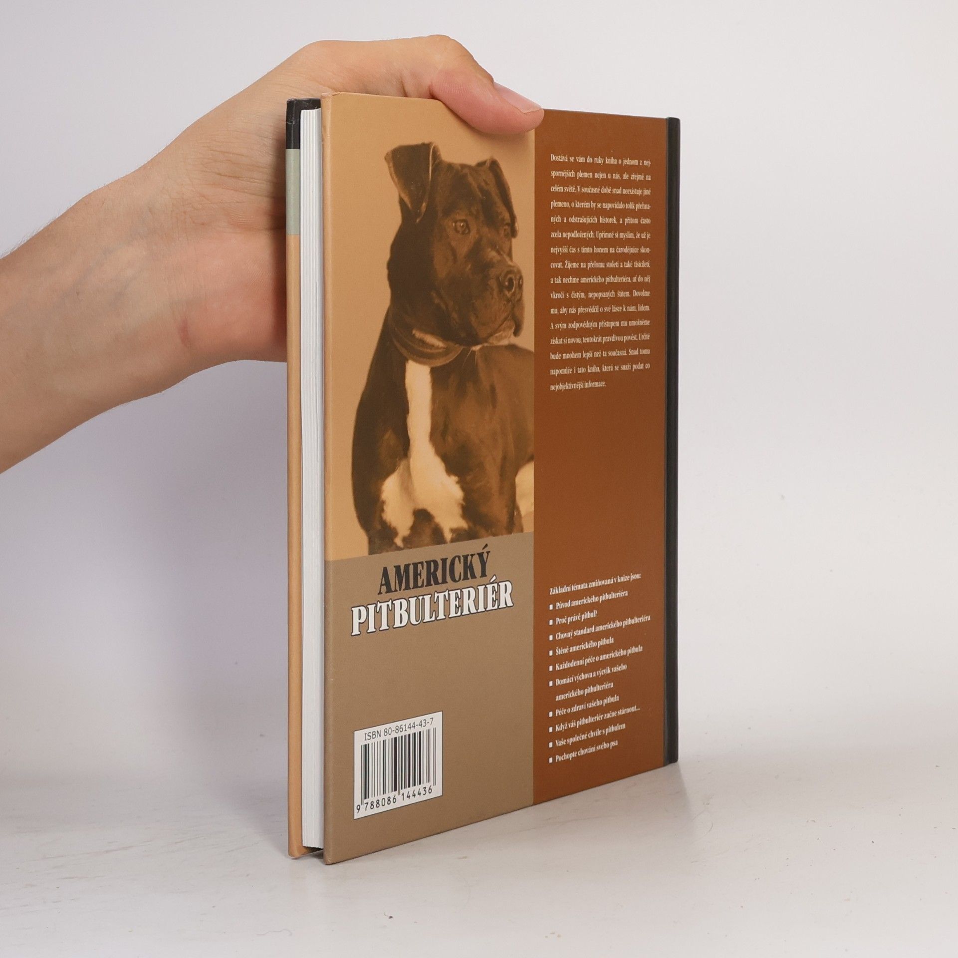 F. Favorito Americký pitbulteriér