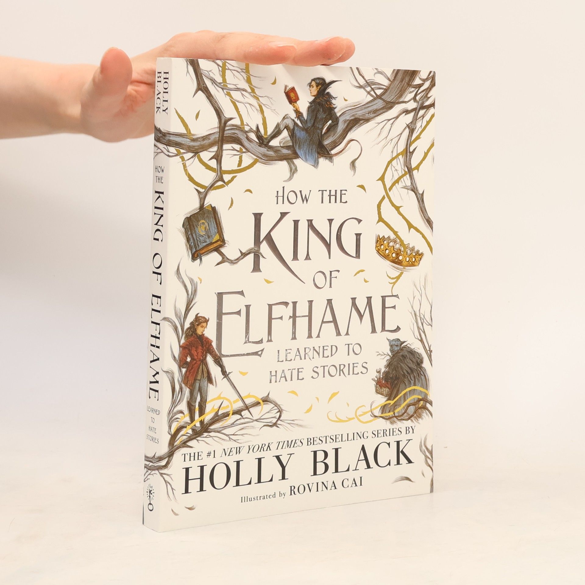 Holly Black How the King of Elfhame learned to hate stories